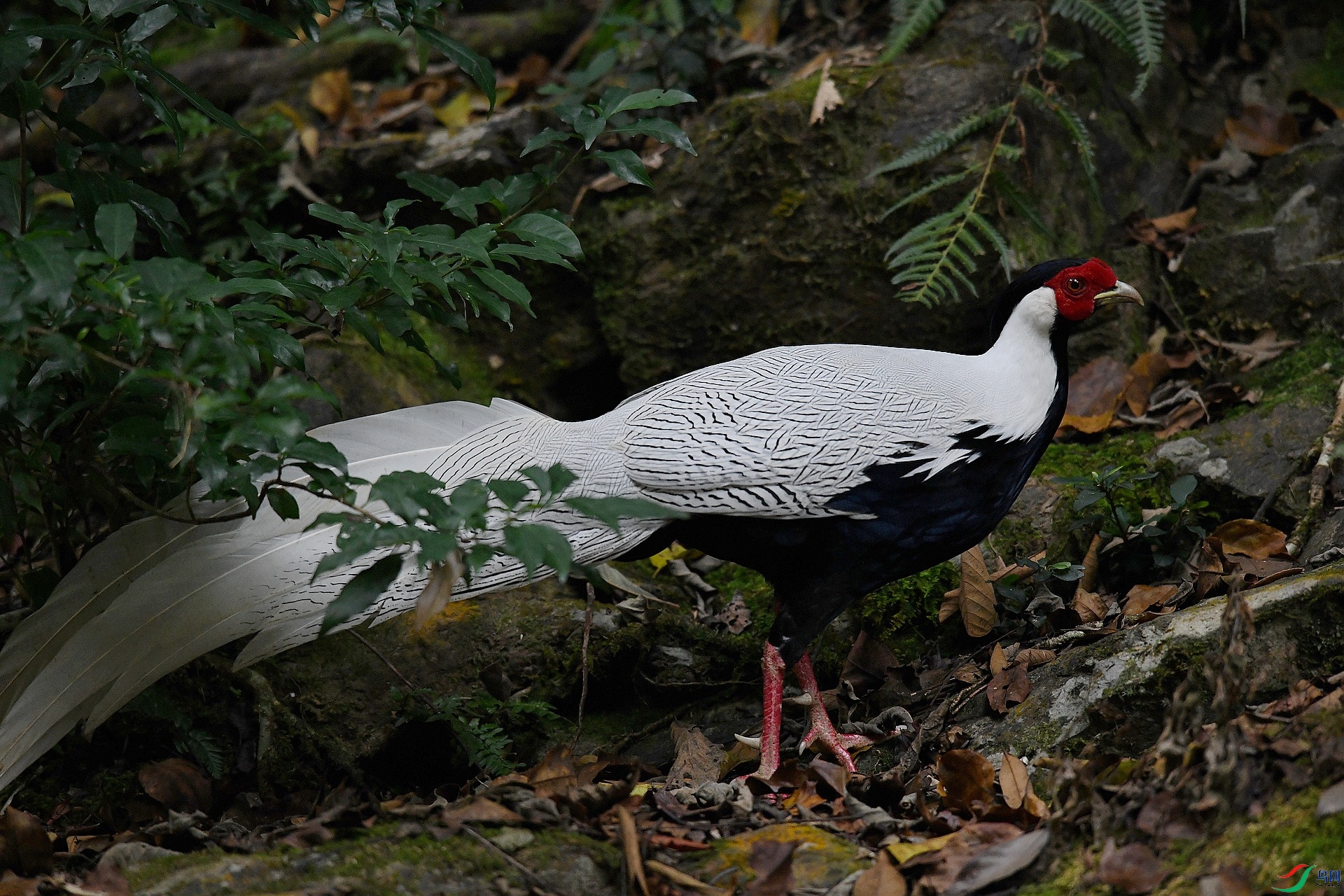 DSC_4821.jpg