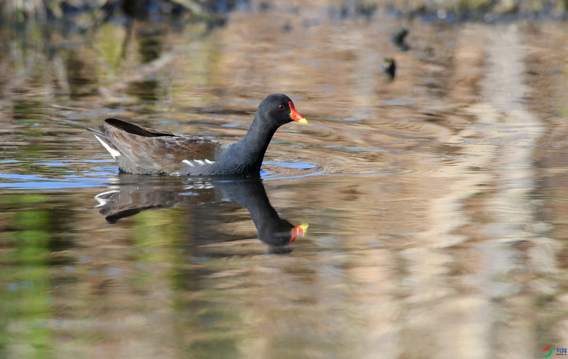 DSC_5075.jpg