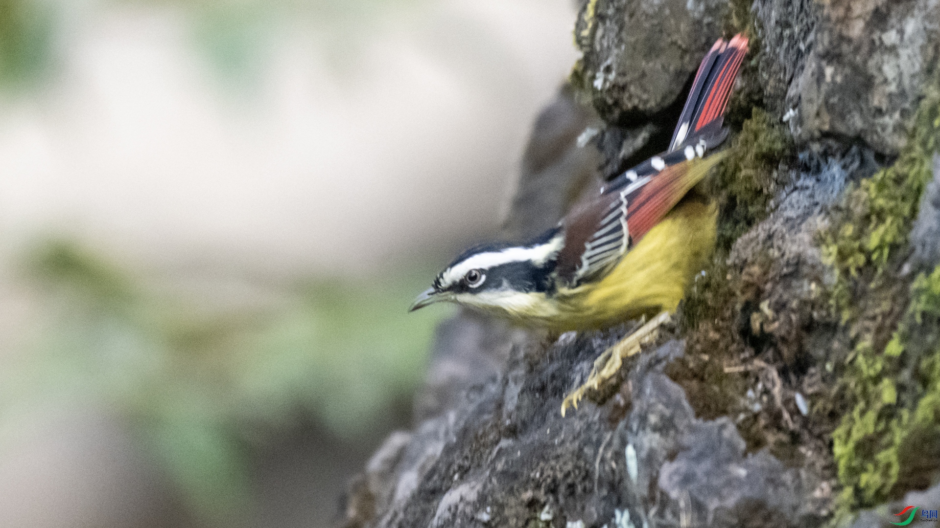 ��βϣ�� ����_����.jpg