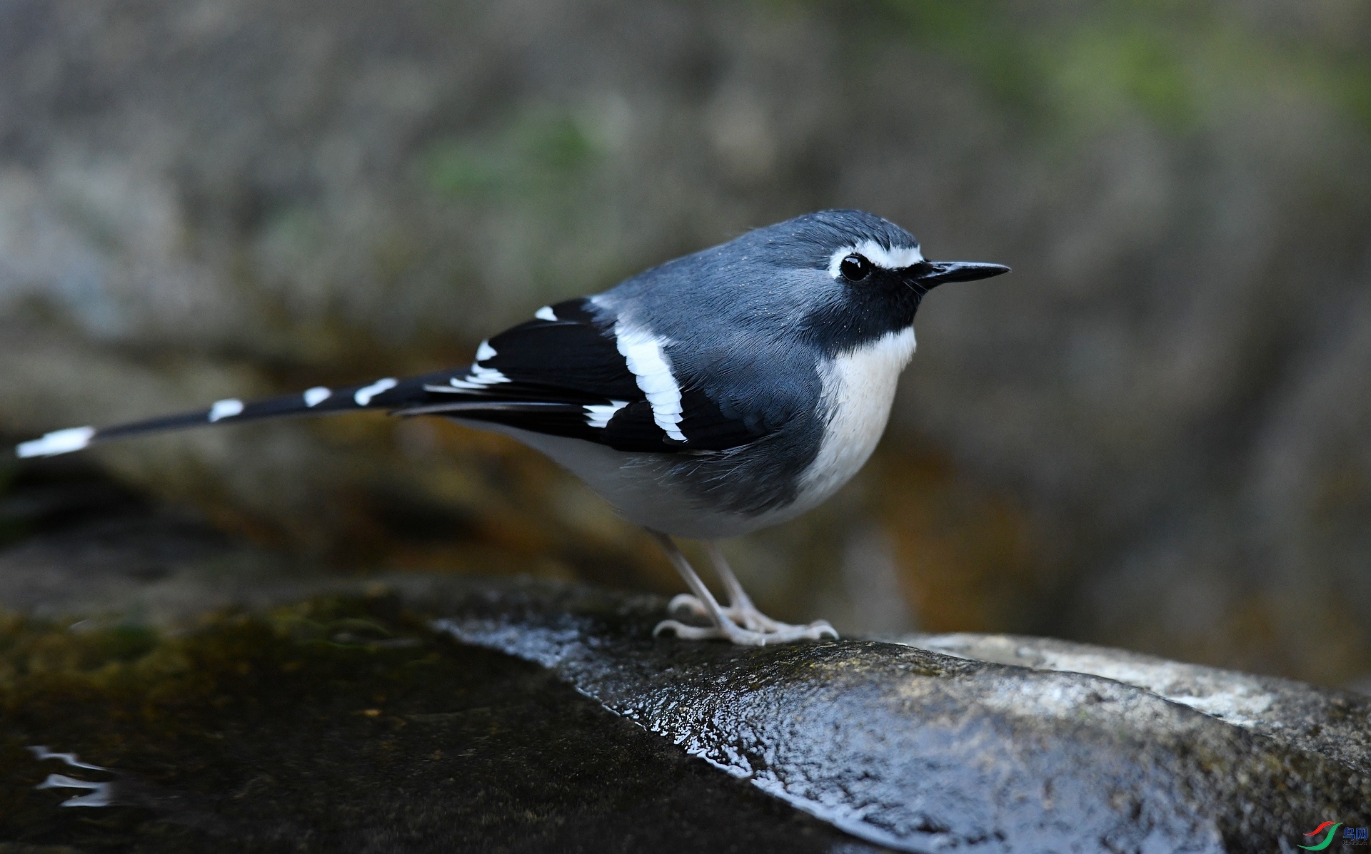 DSC_5512.jpg