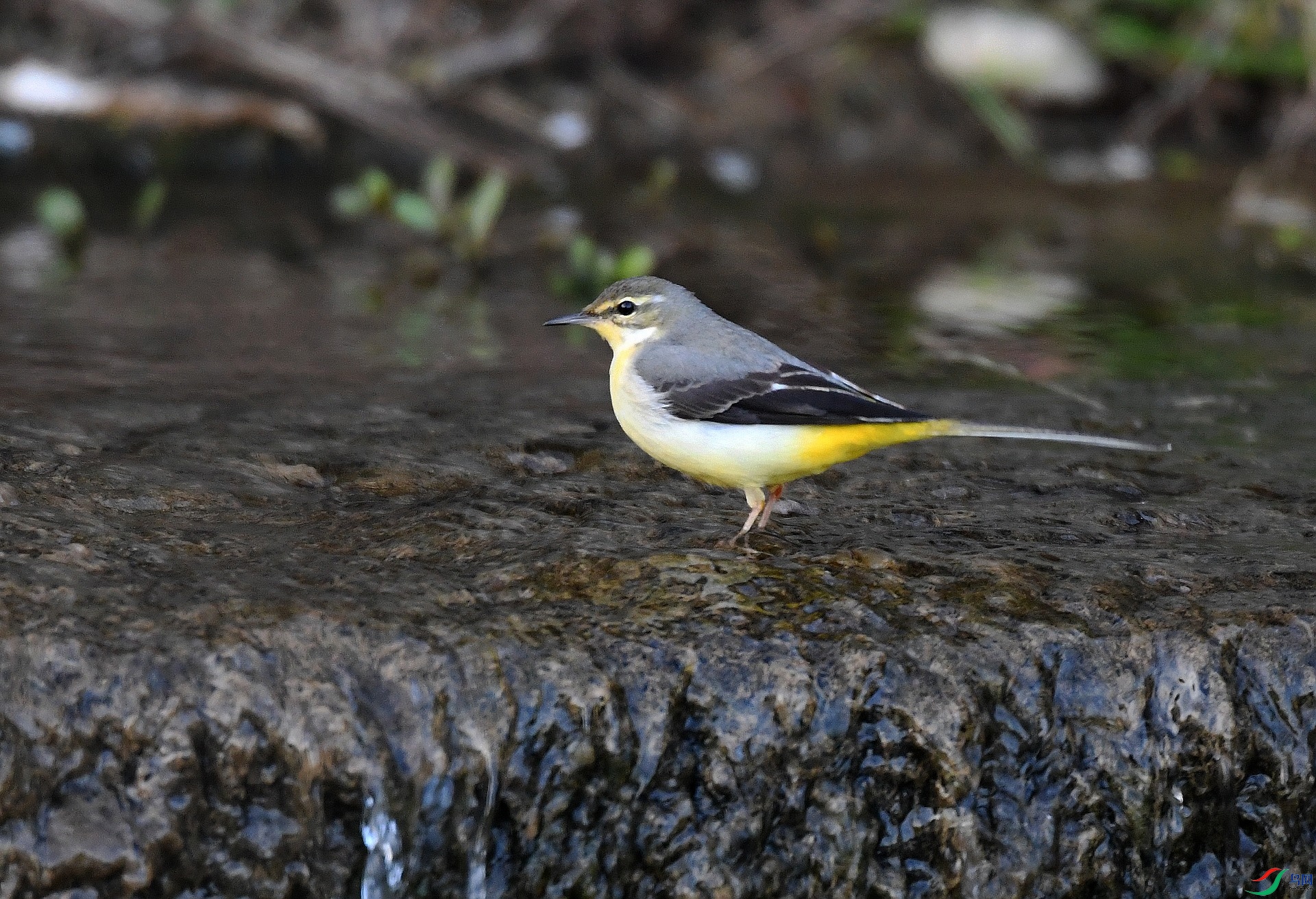 DSC_5587.jpg