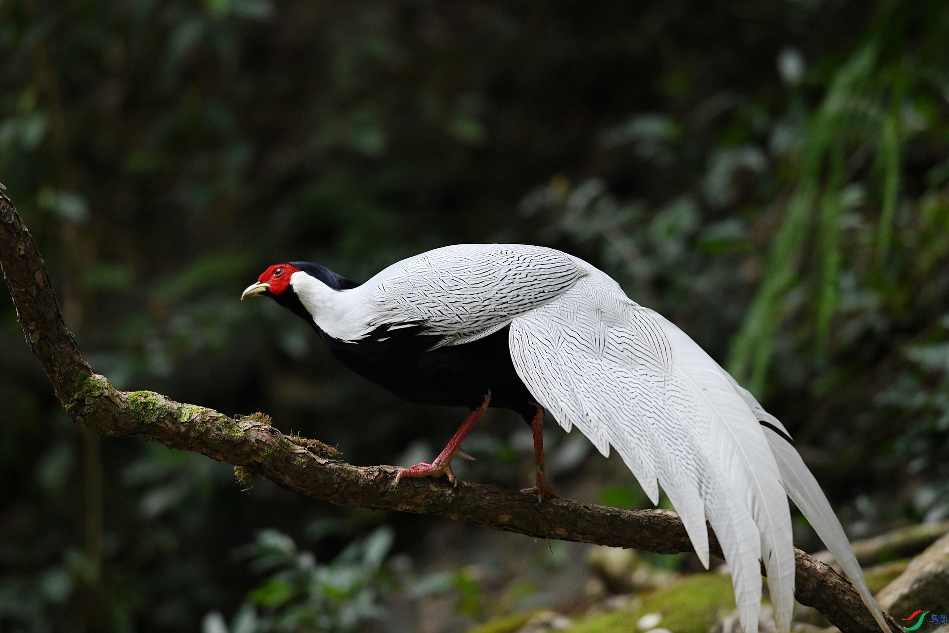 DSC_4722.jpg