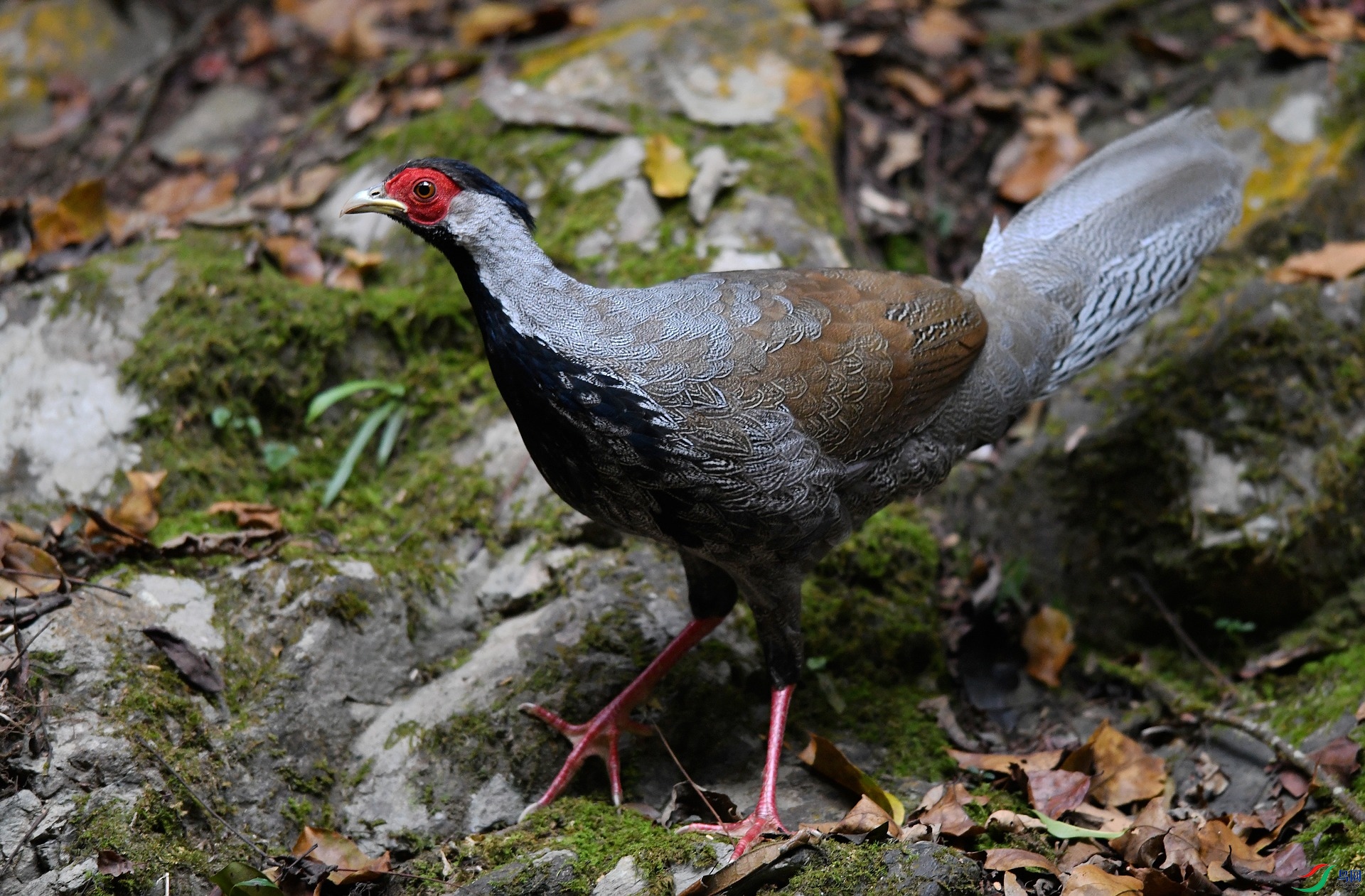 DSC_4864.jpg