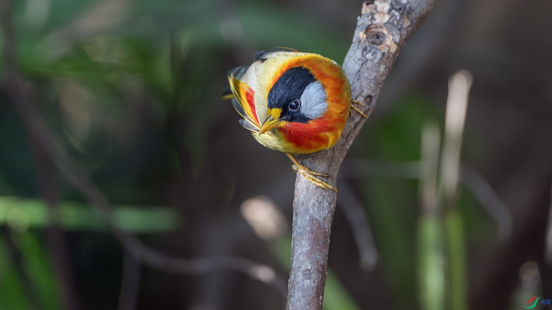 DSC_7296-����ǿ-NR ����.jpg