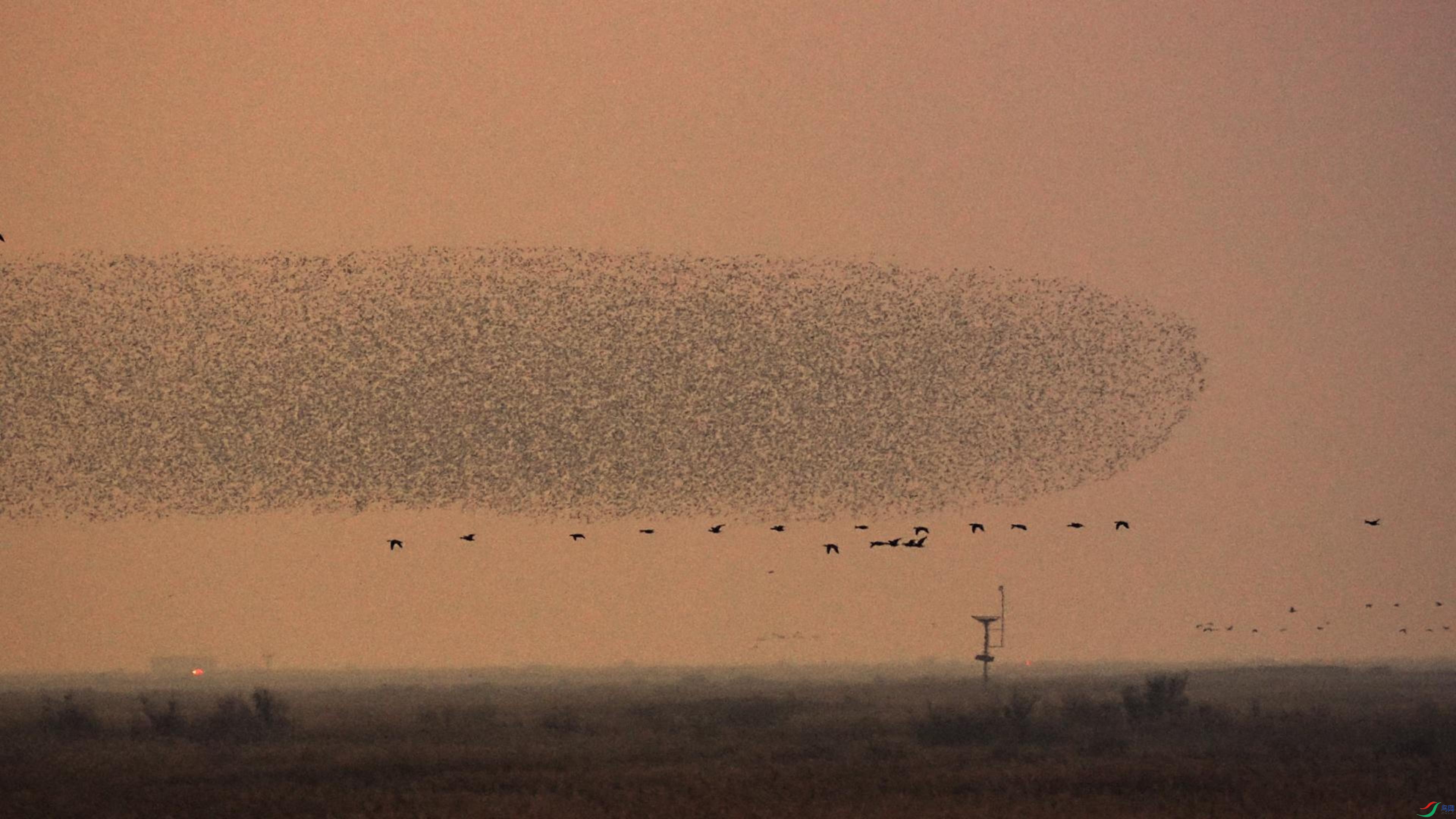 1��1�� (2)-����.jpg