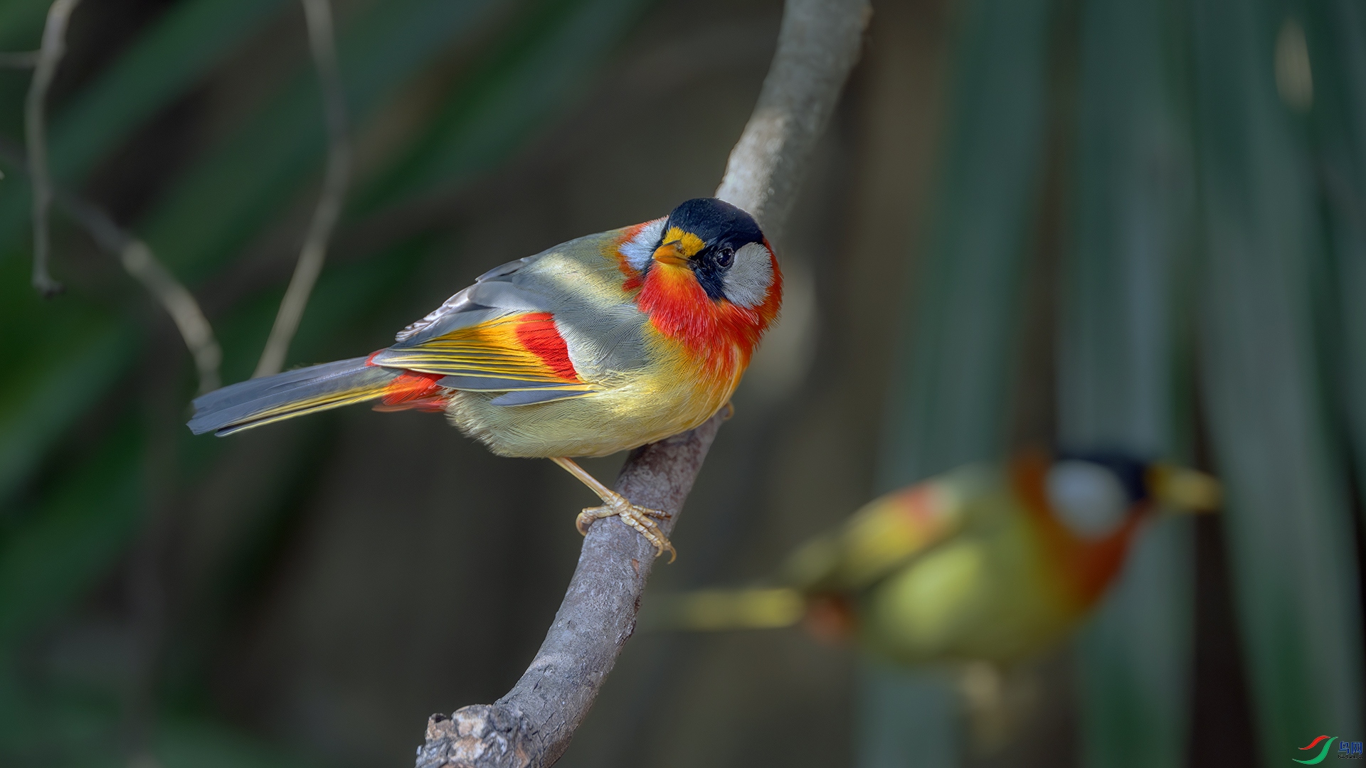 DSC_7321-����ǿ-NR ����.jpg
