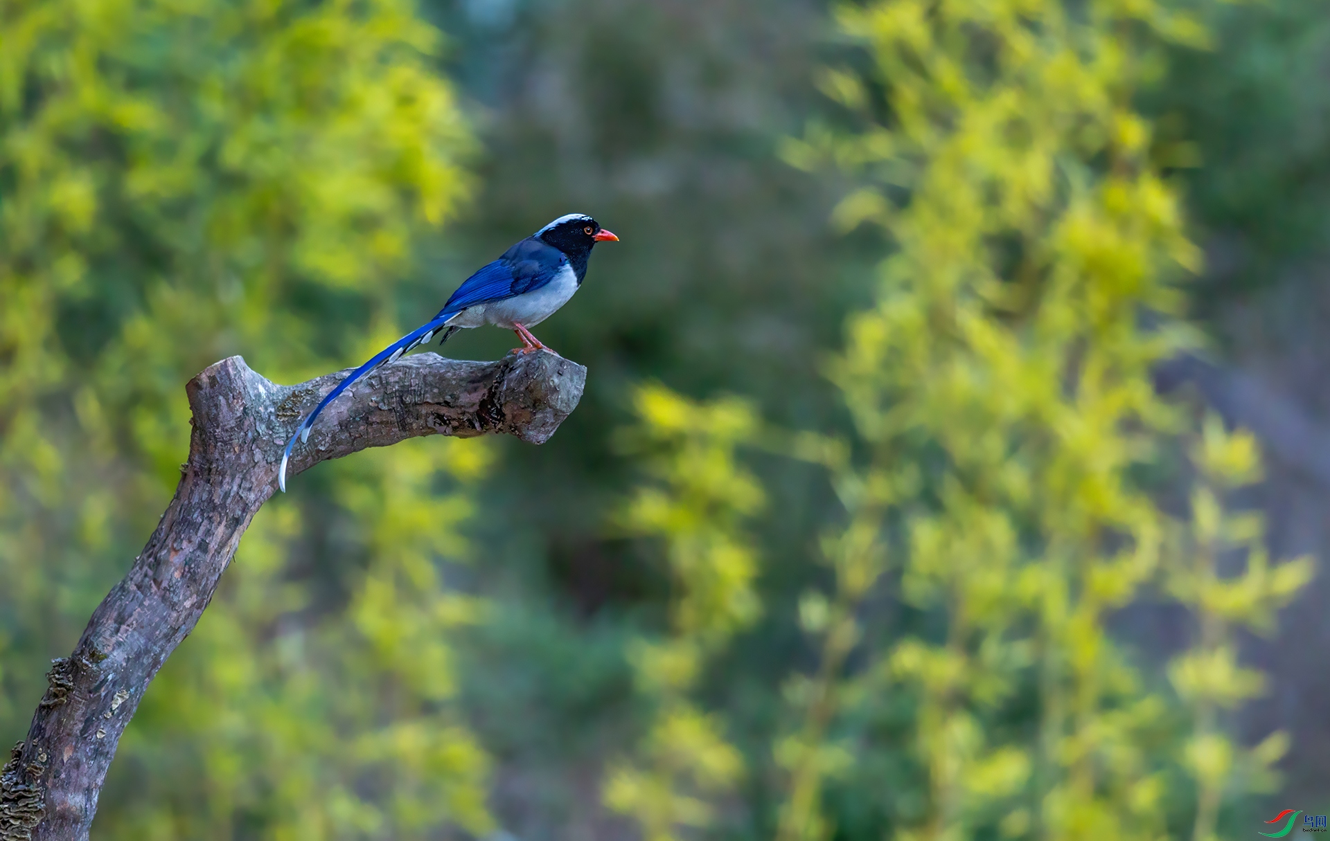 066A6458-3.jpg