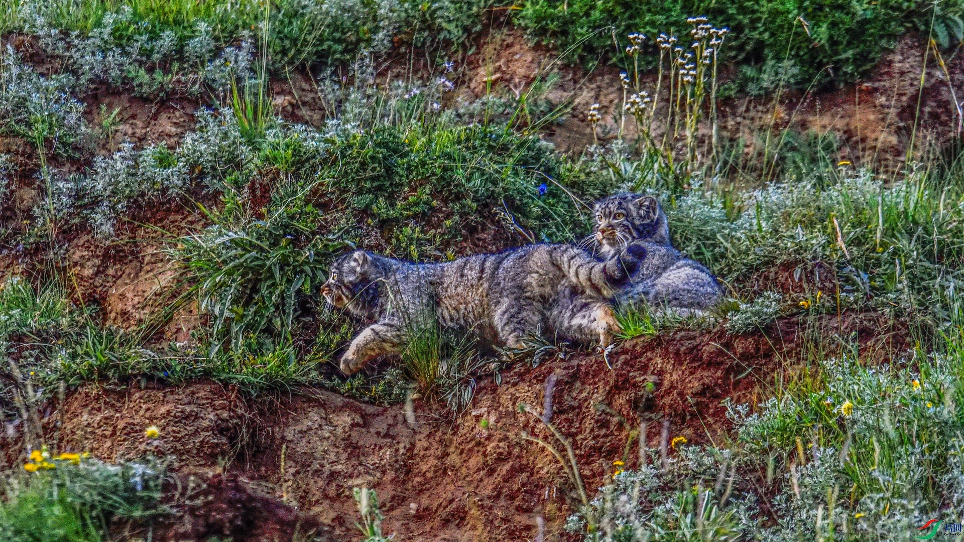 _DSC9514_����.jpg