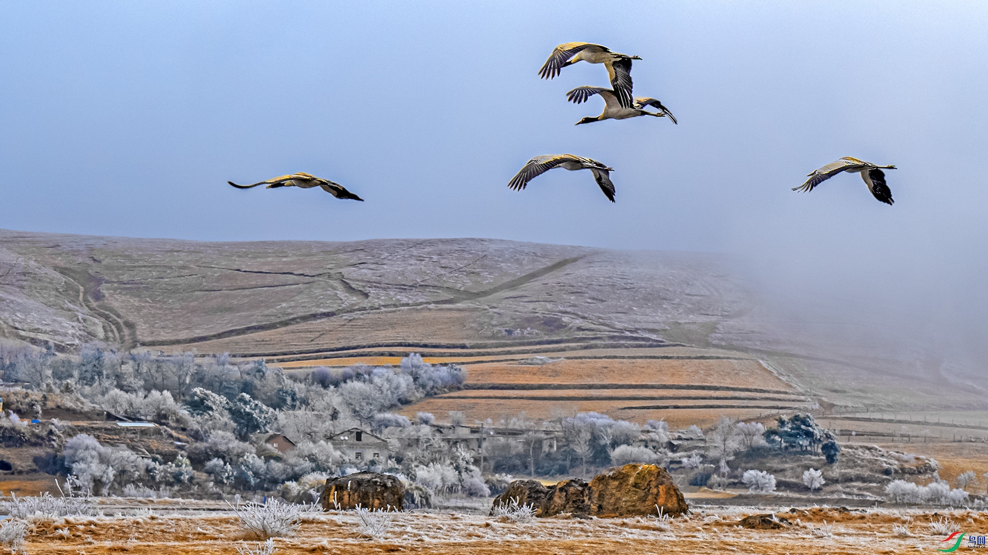 DSC_6659 ����.jpg