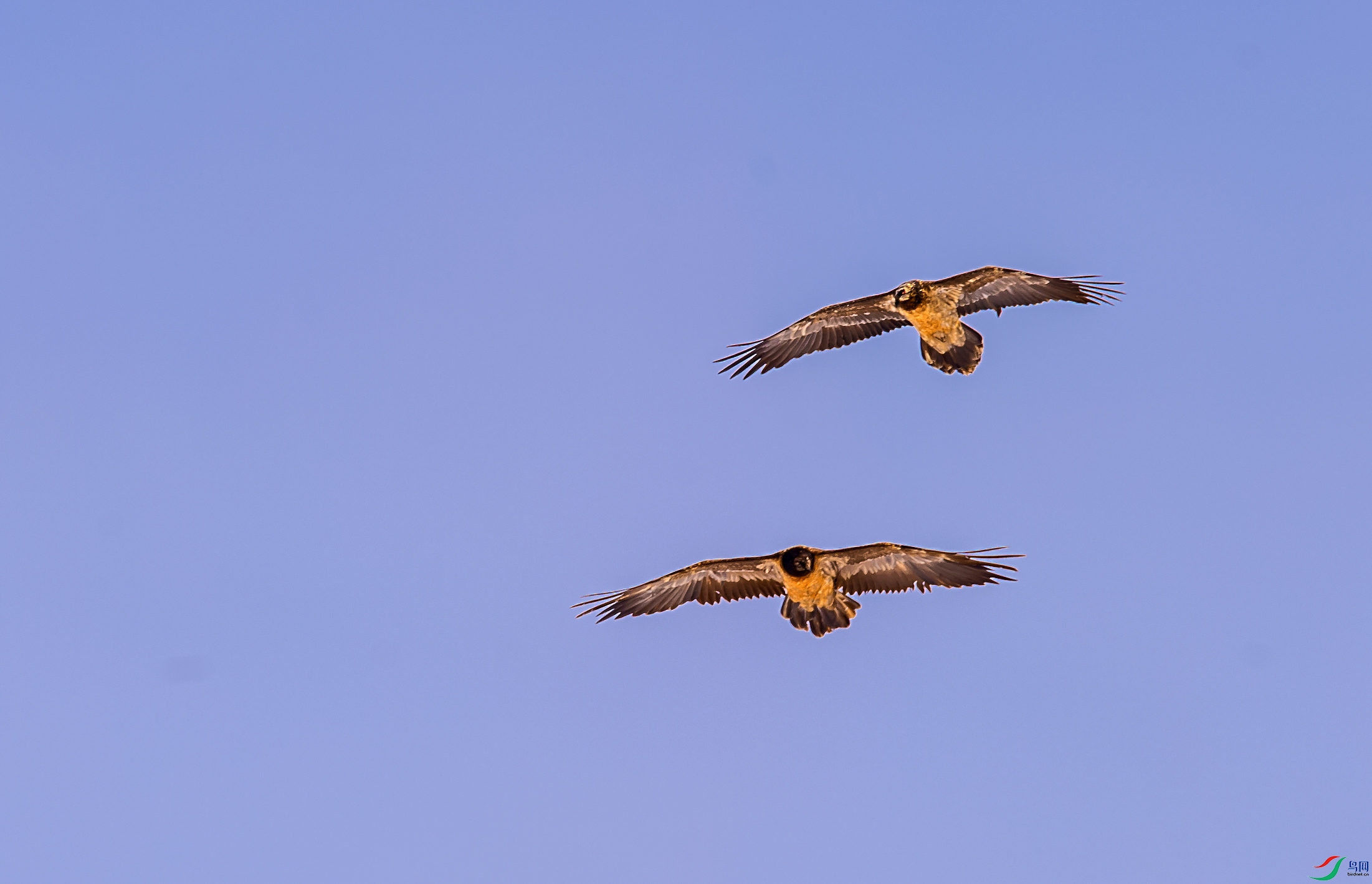_DSC5782.jpg