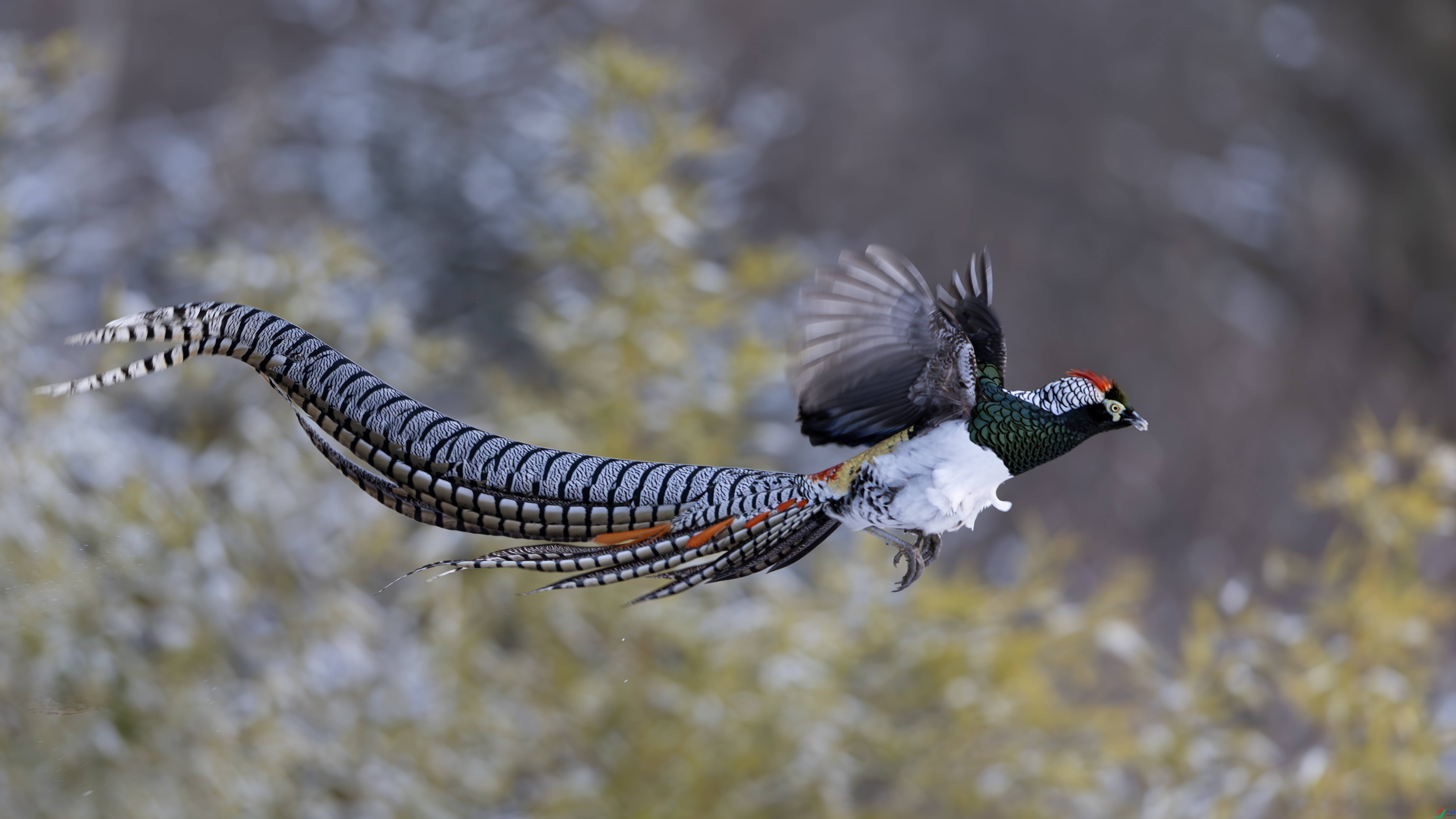 _O7A9825-����ǿ-NR ����.jpg