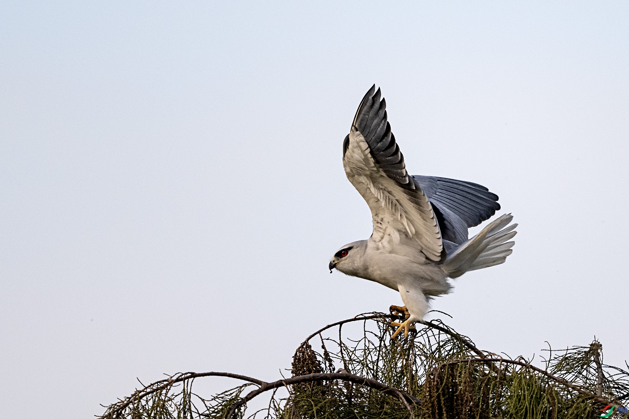 DSC_2145.jpg