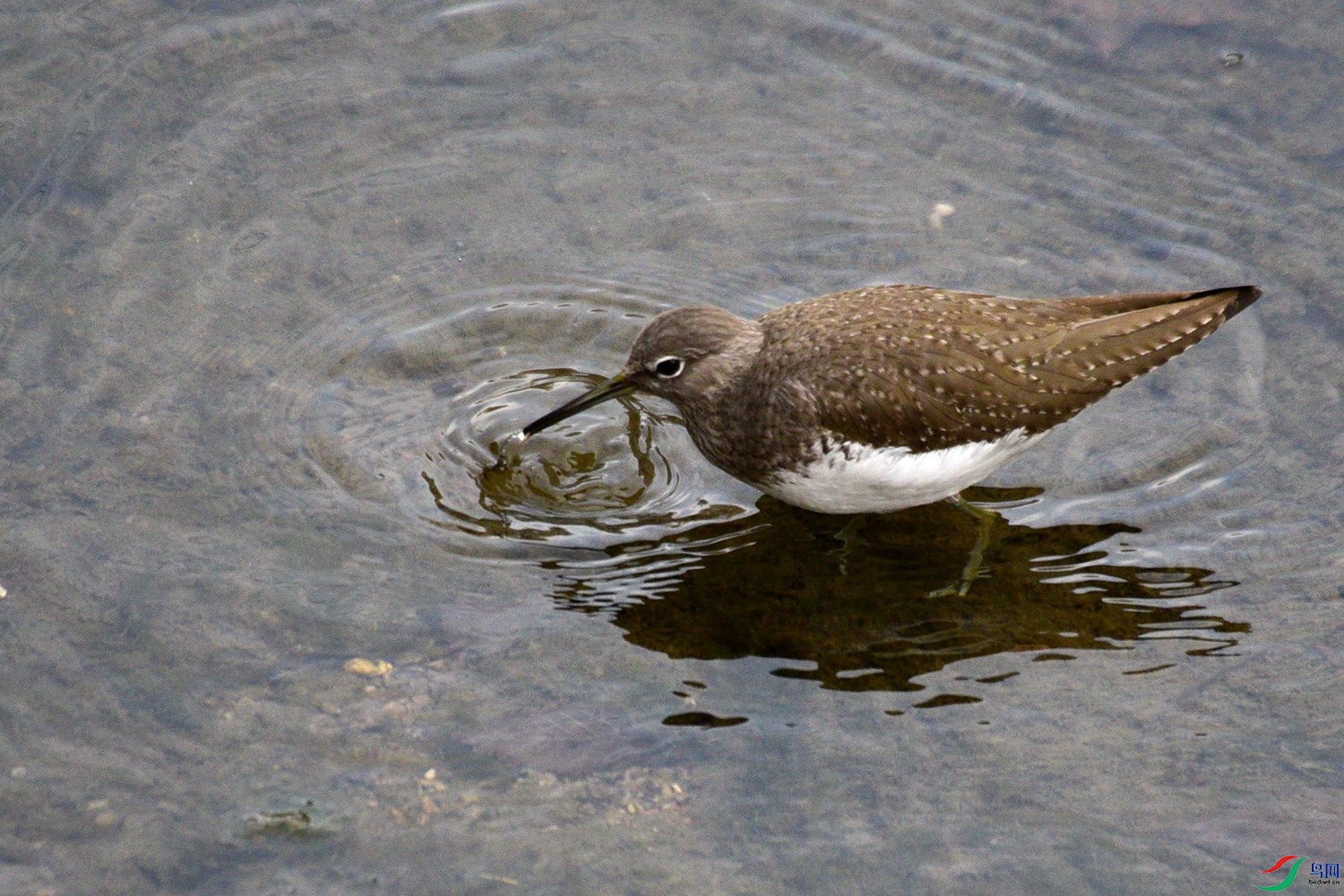 DSC_4933.JPG