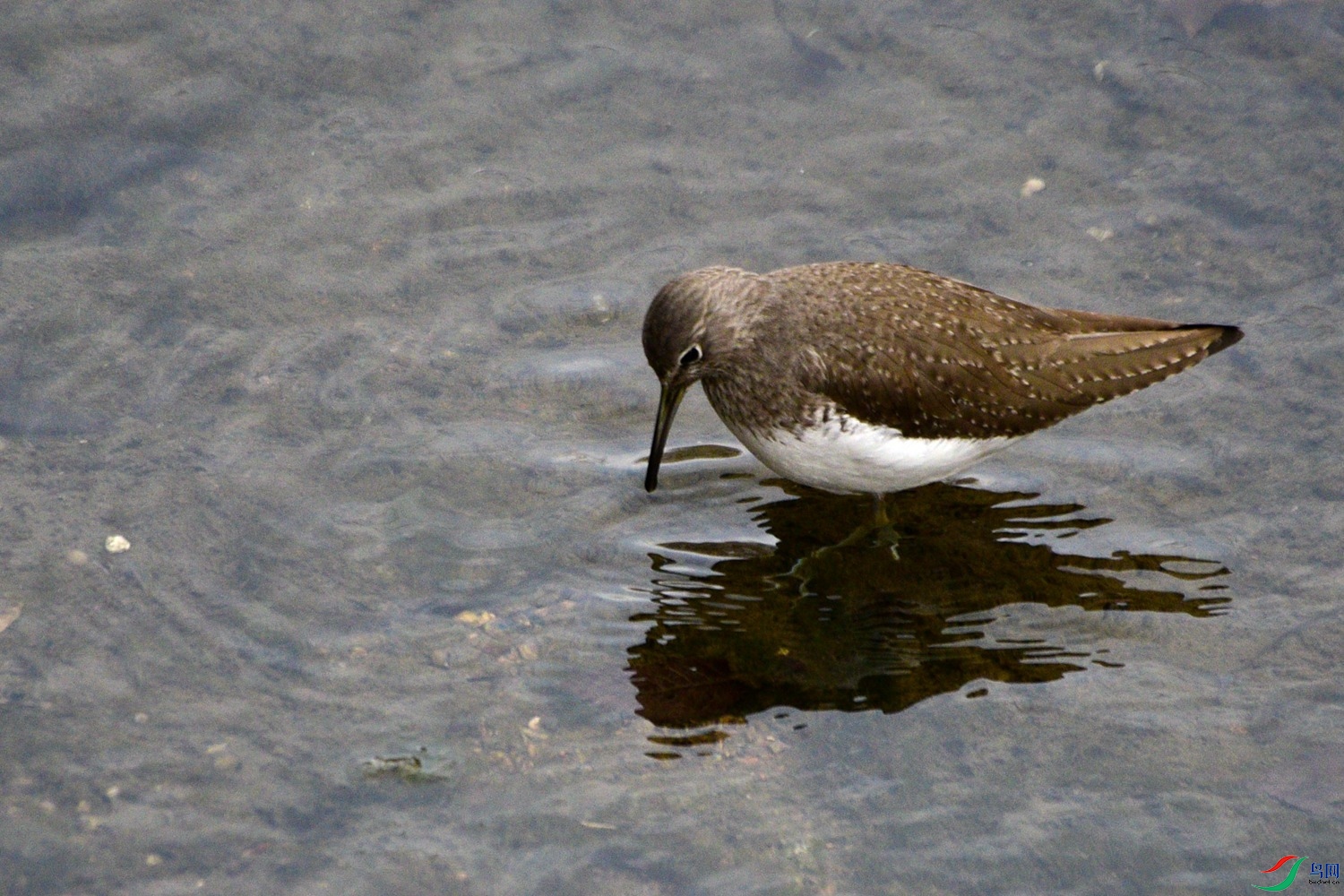DSC_4946.JPG