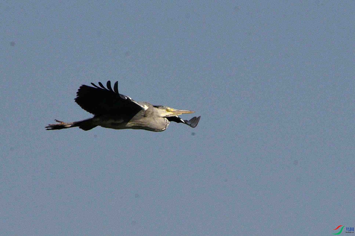 DSC_0875.JPG