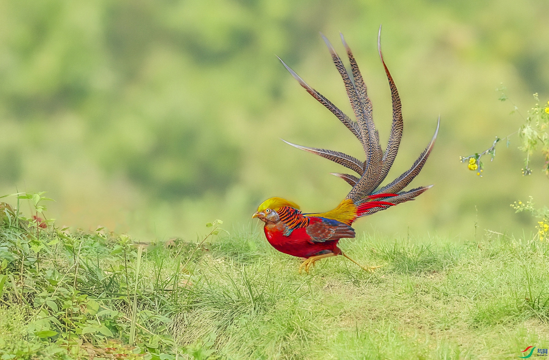 ����״̬ ���� 3.jpg