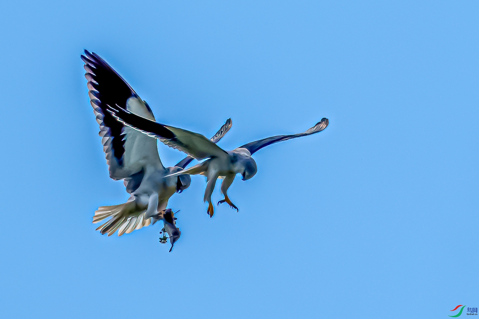 DSC_8135-11.jpg