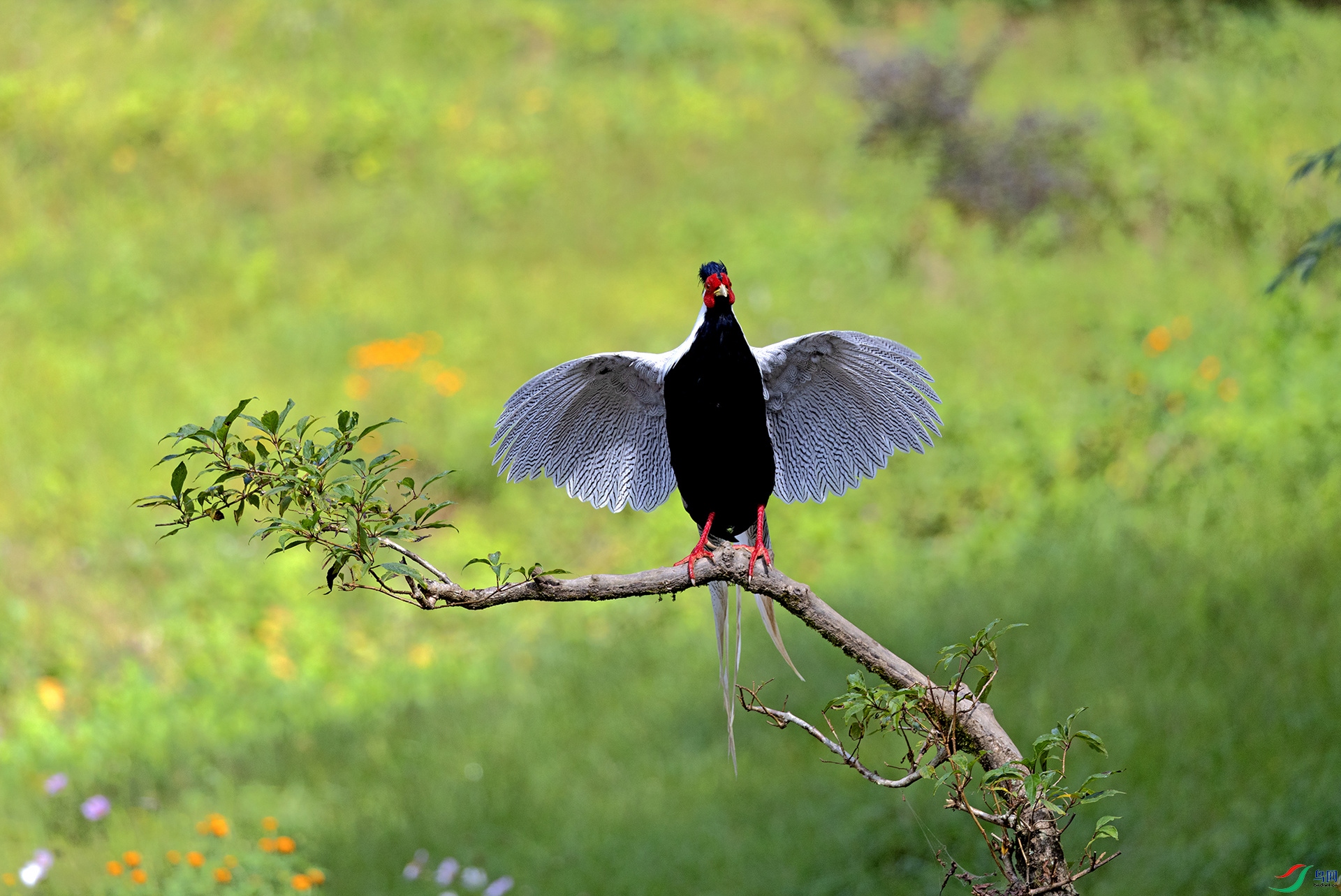 048A1367 ����.jpg