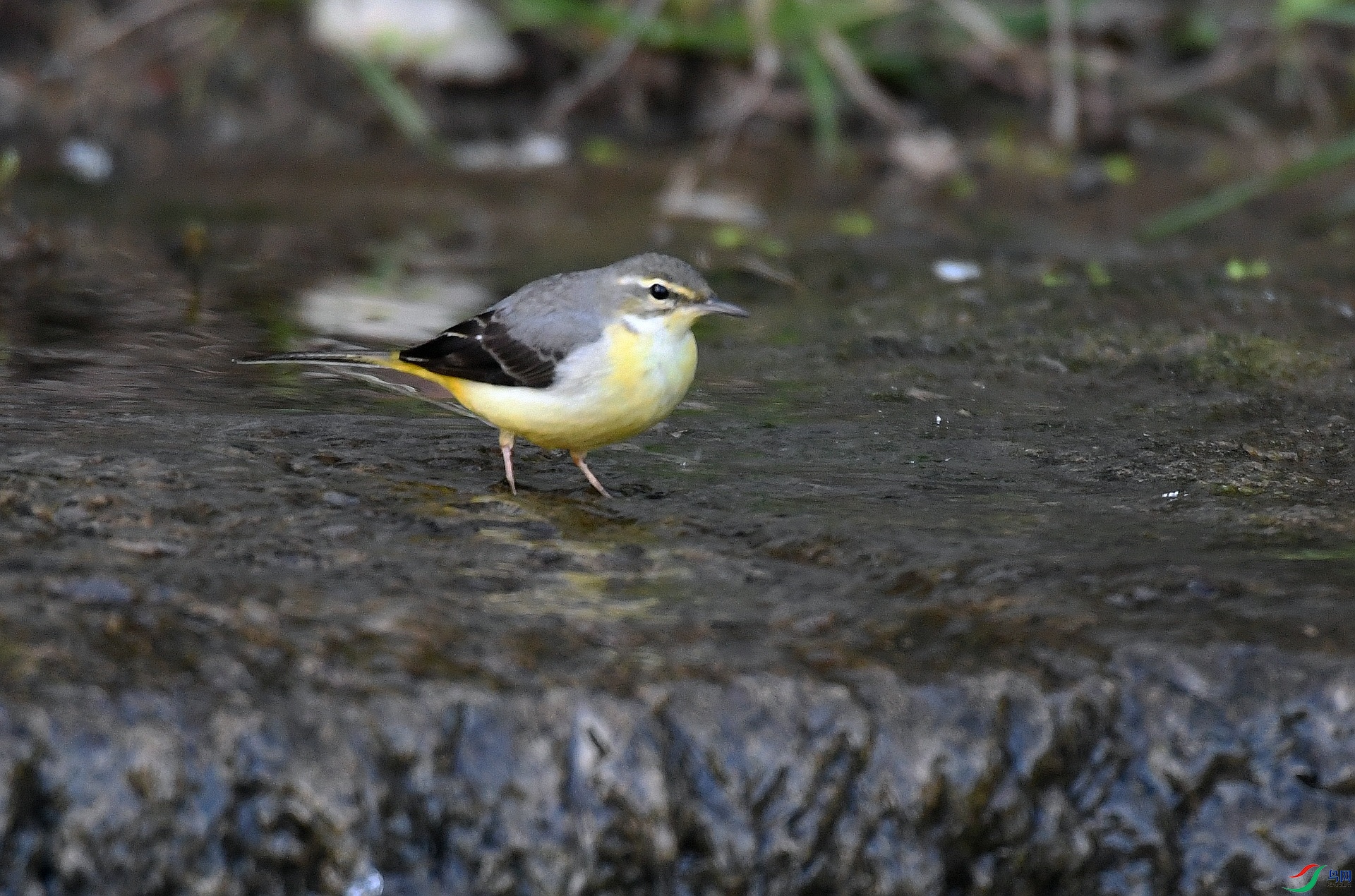 DSC_5586.jpg