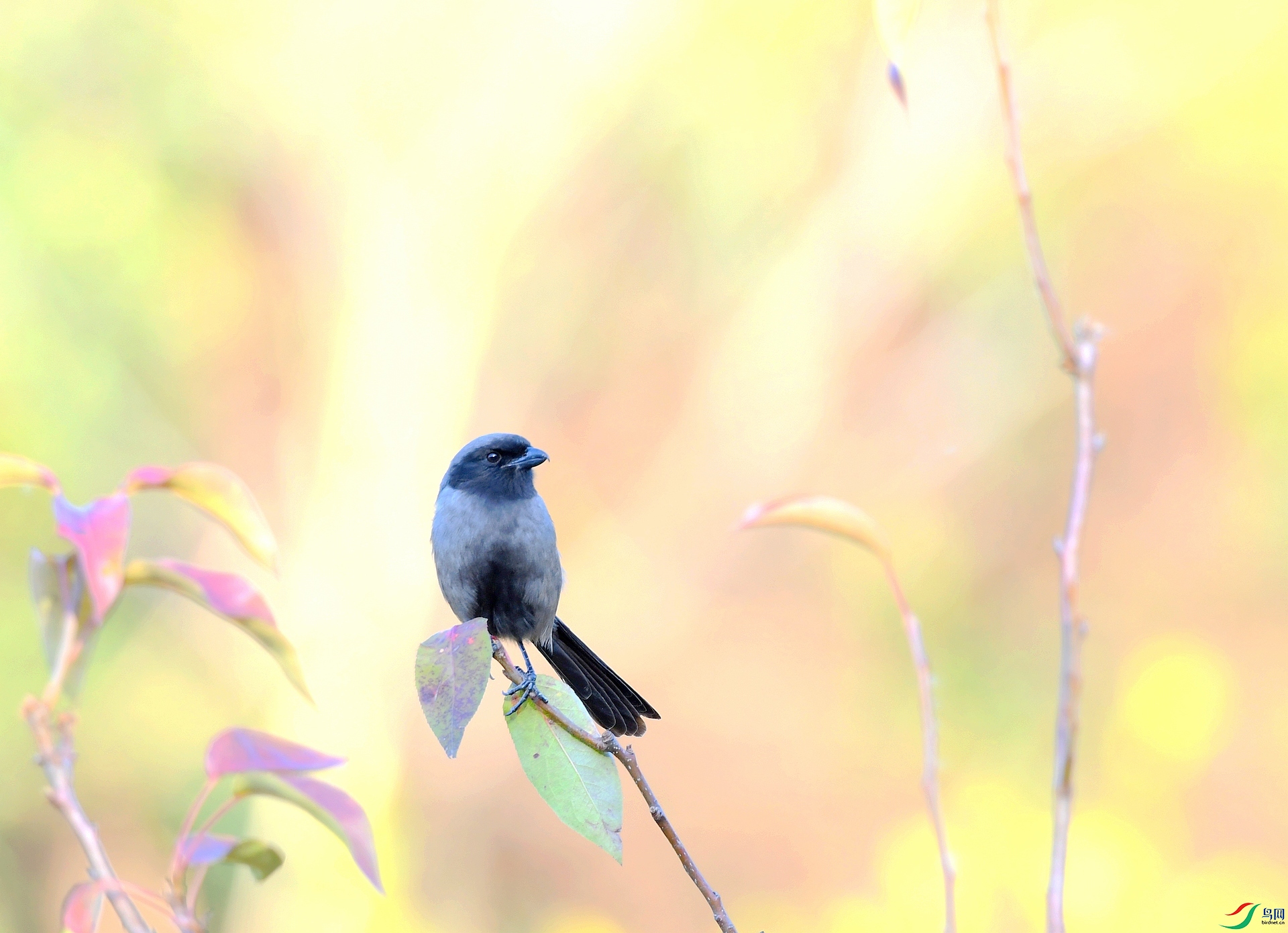 DSC_5188.jpg