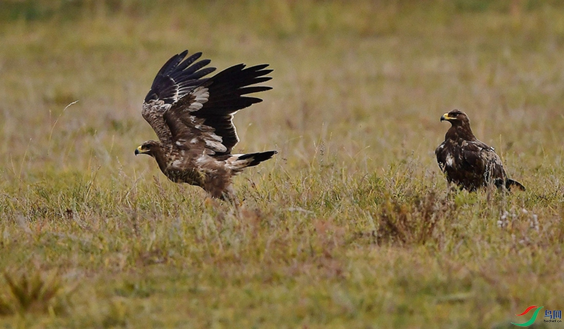 ����һ����