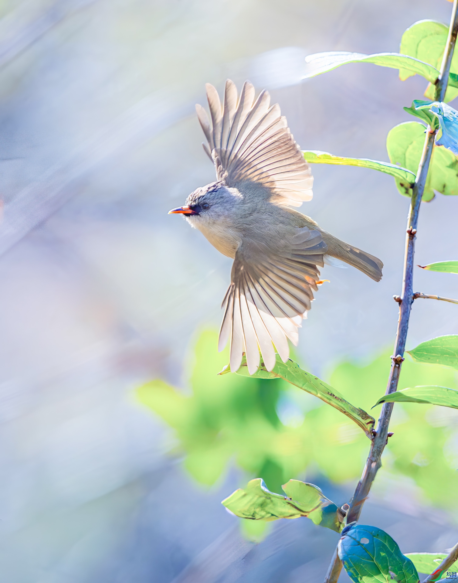 L24_1538- ����.jpg