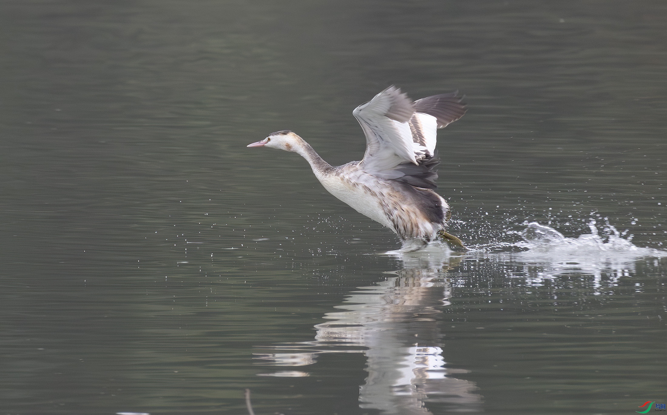 G47A6183-����ǿ-NR ����.jpg