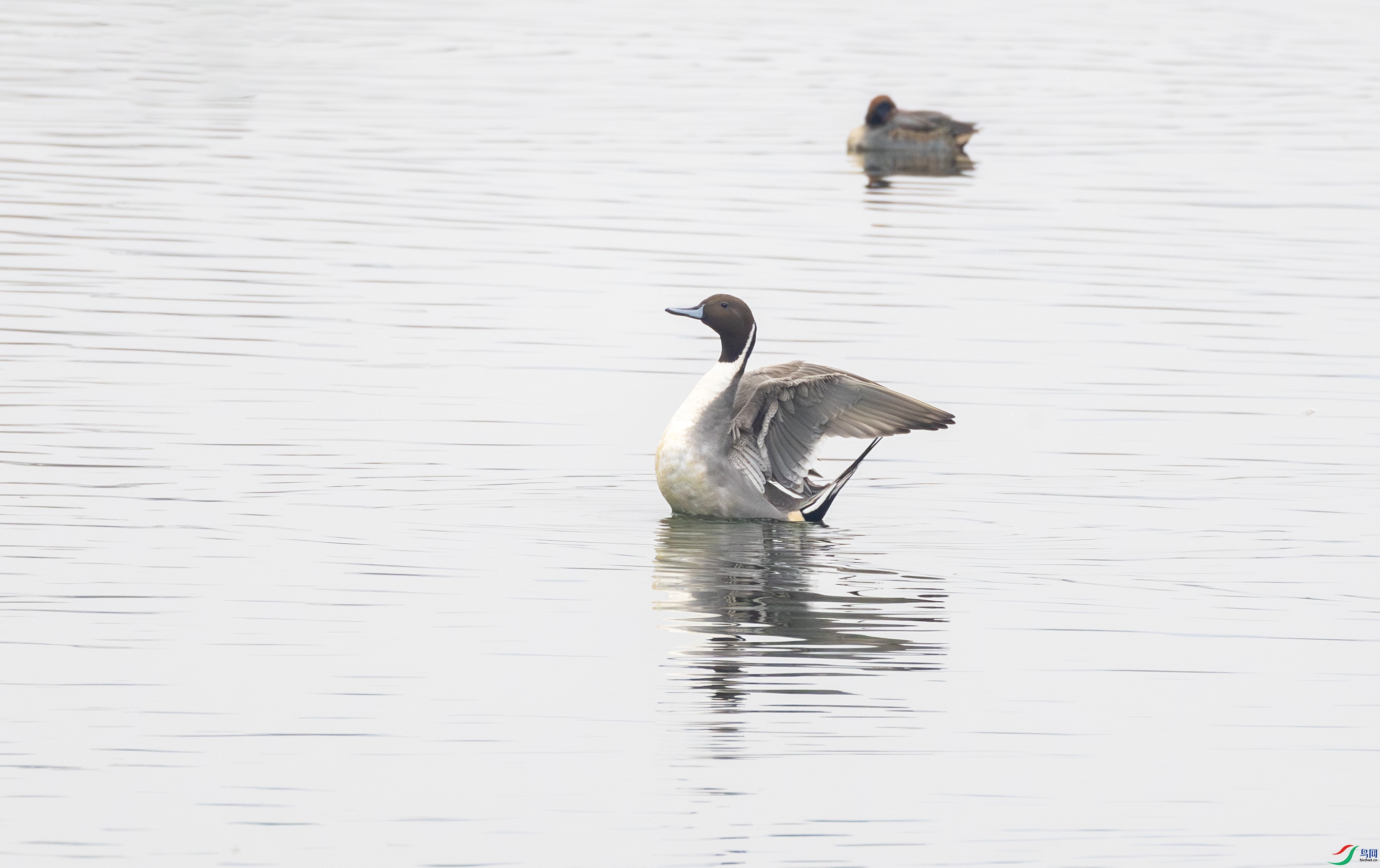 G47A9102-����ǿ-NR ����.jpg