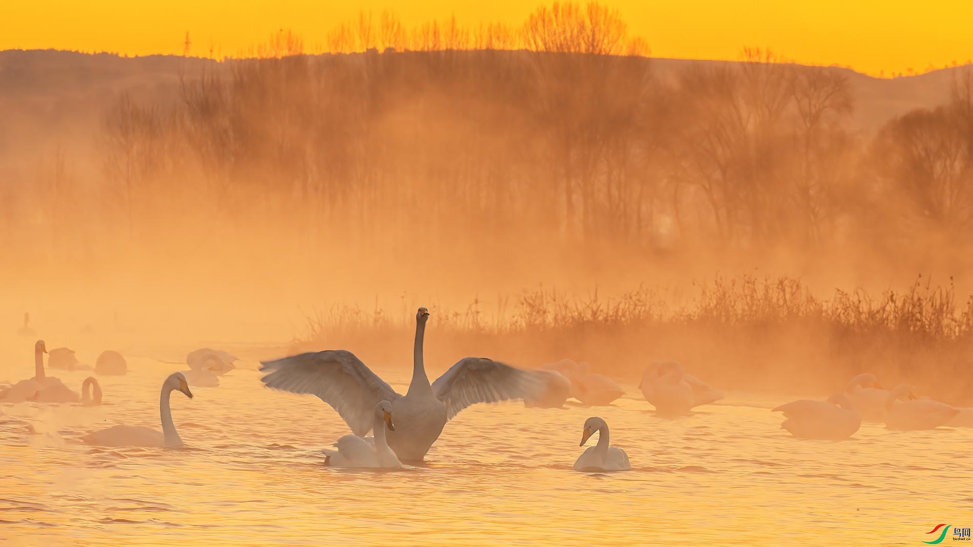 ����չ��