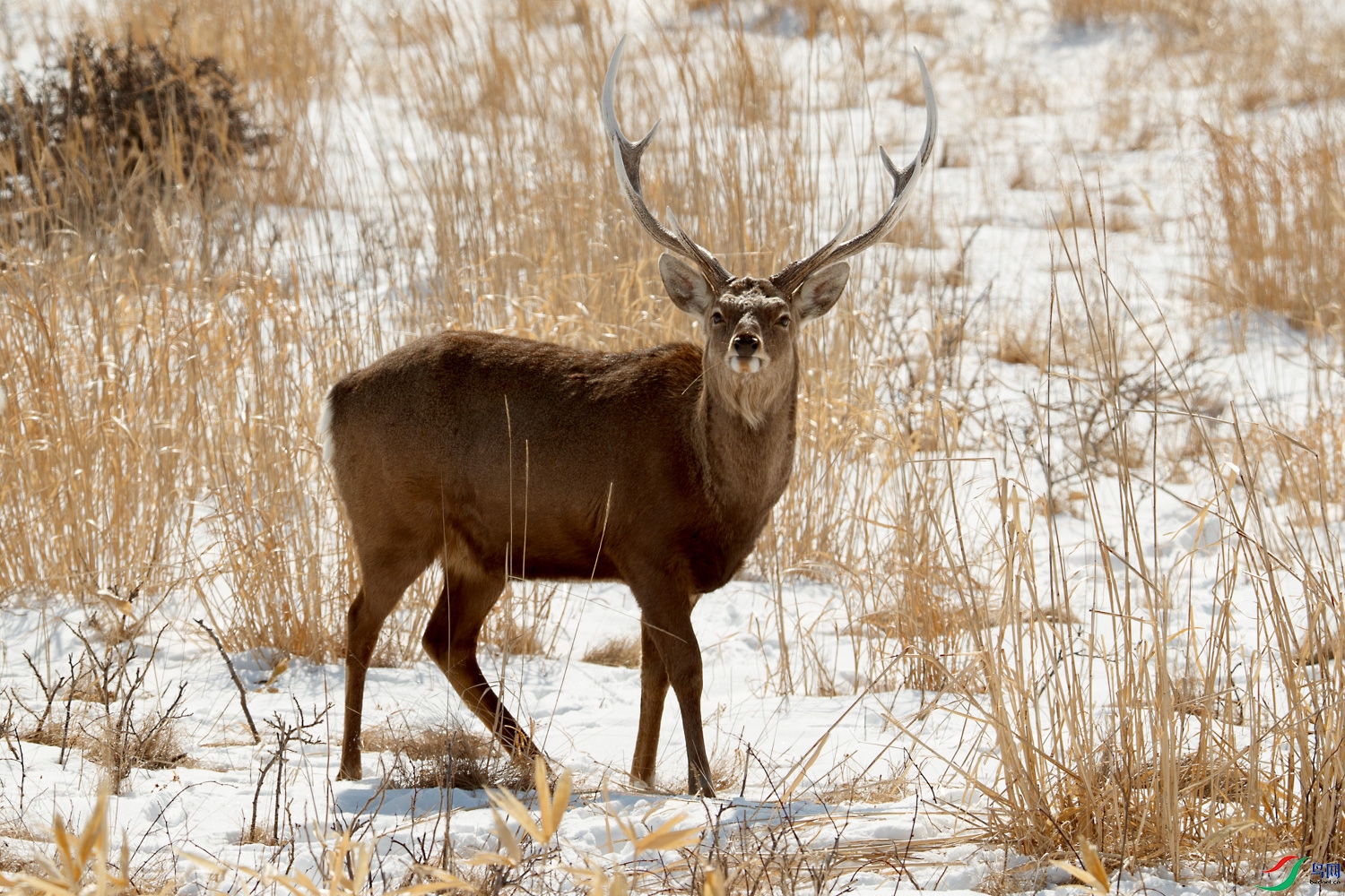 AQ9I5958 ����.jpg