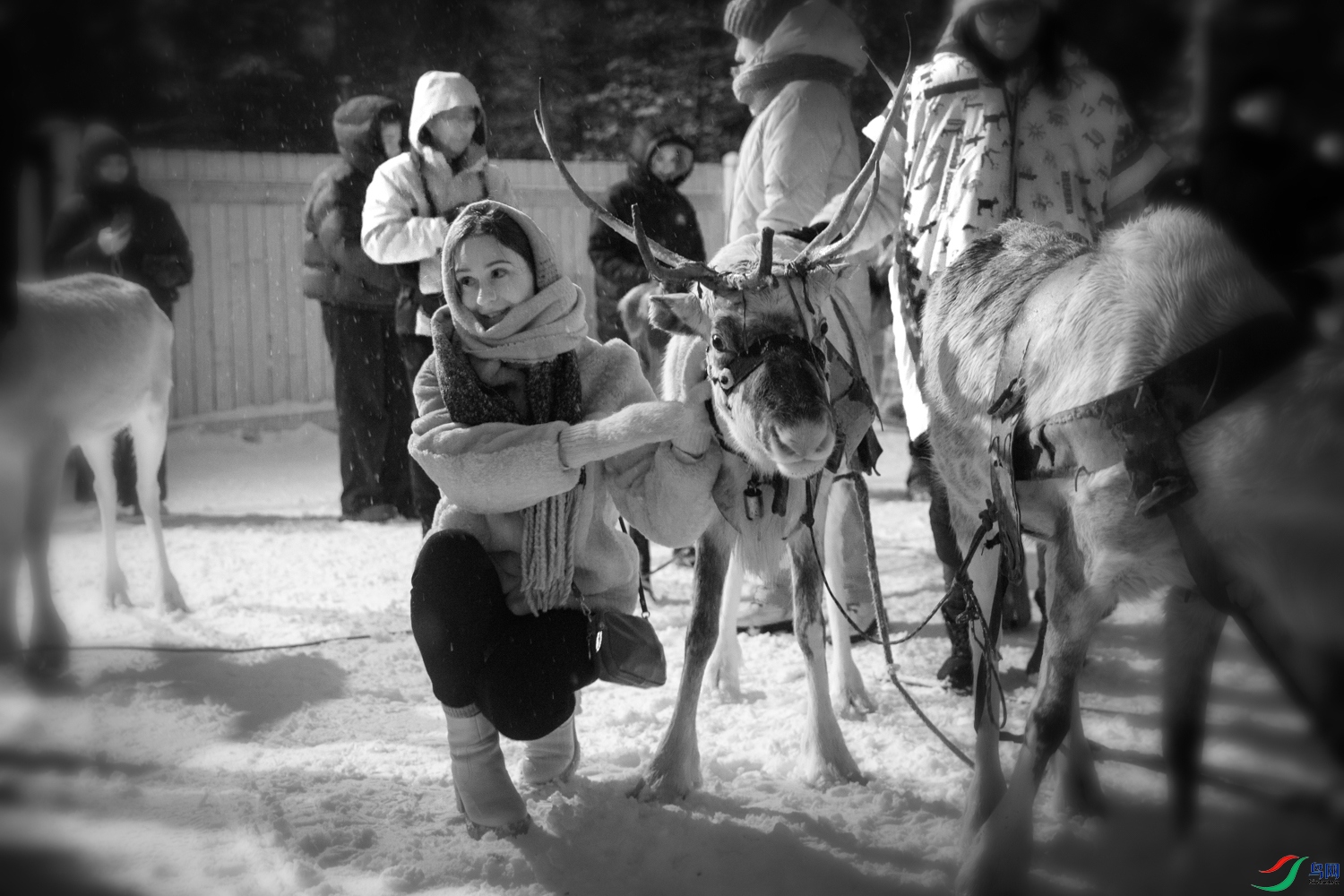 238A1023 ����.jpg