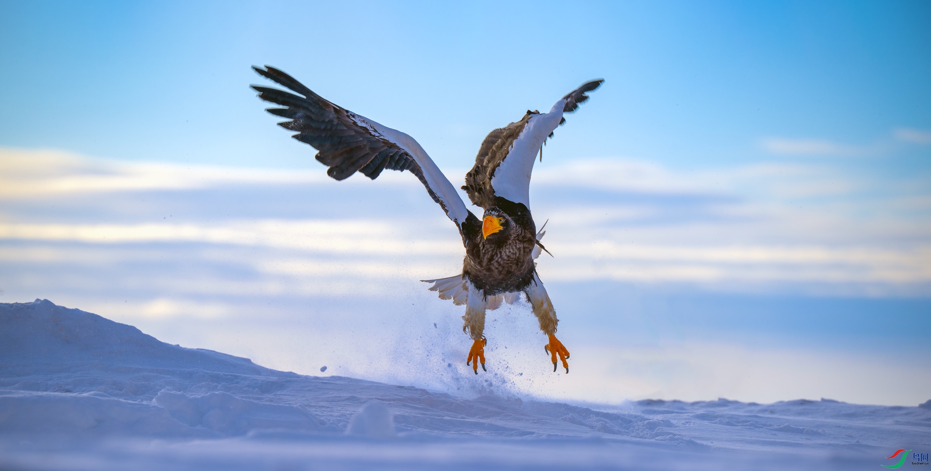 _DSC2100==1w.jpg