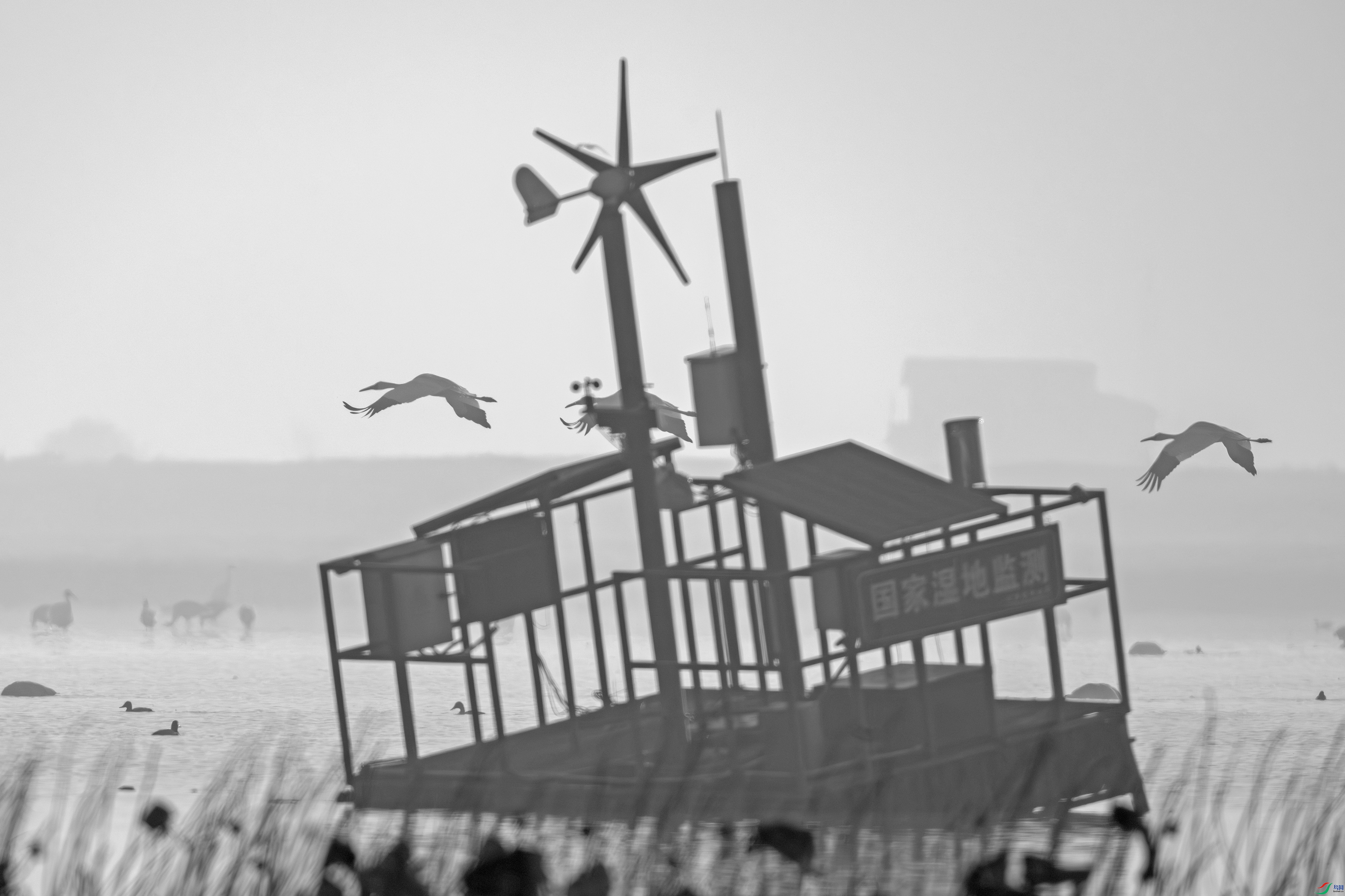 DSC_6906-���� .jpg