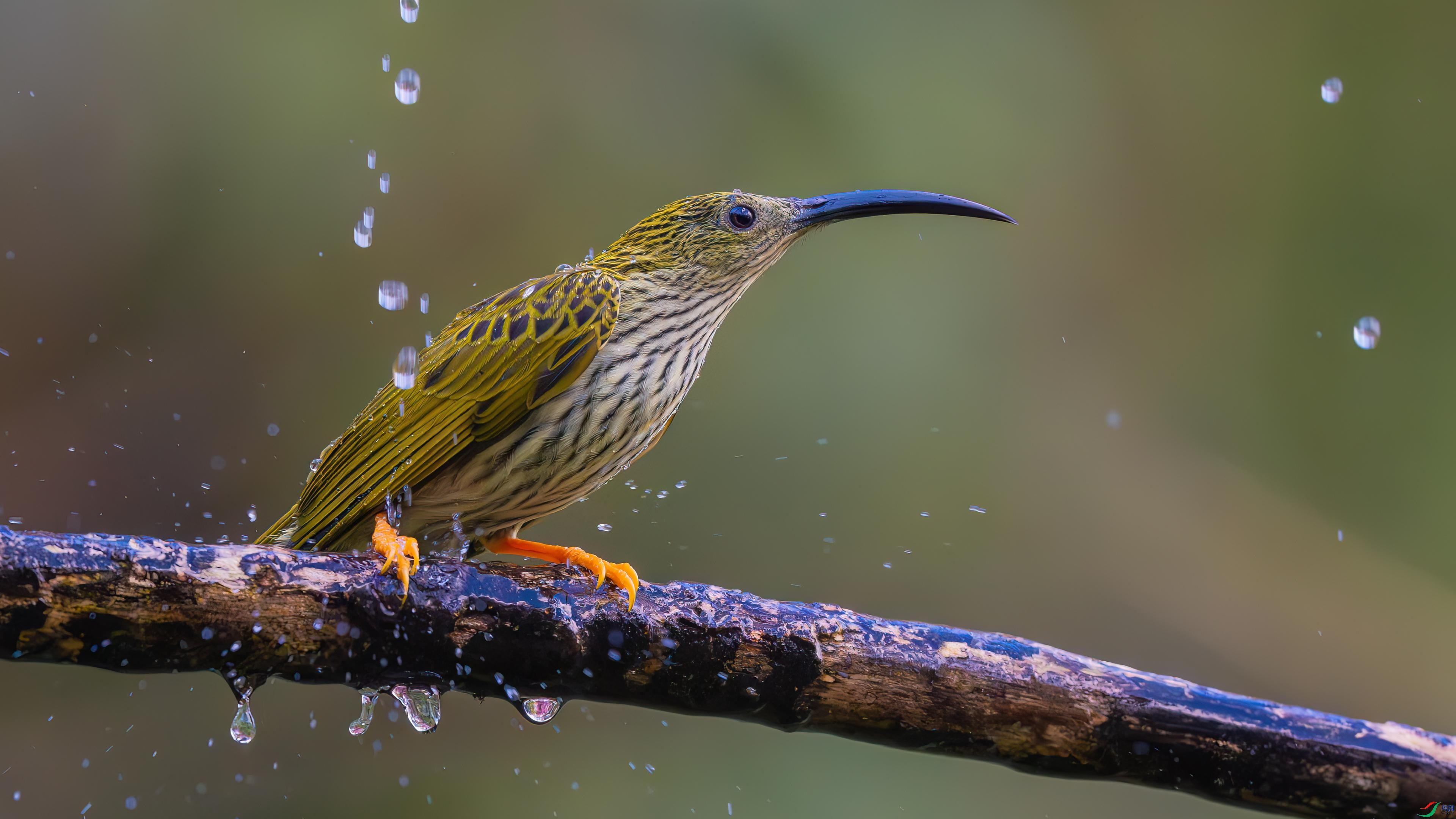 1��3�� (1)-����.jpg