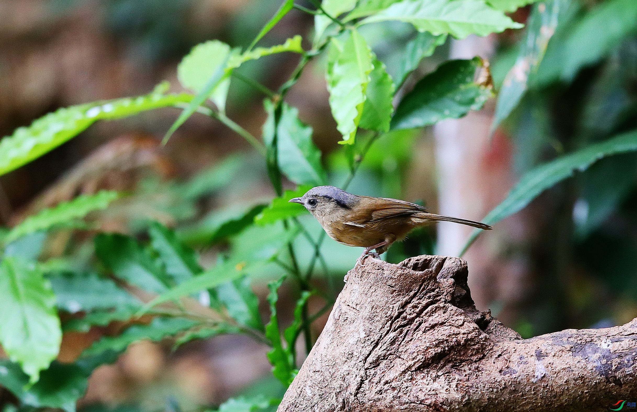 ����ȸ�� (25).JPG