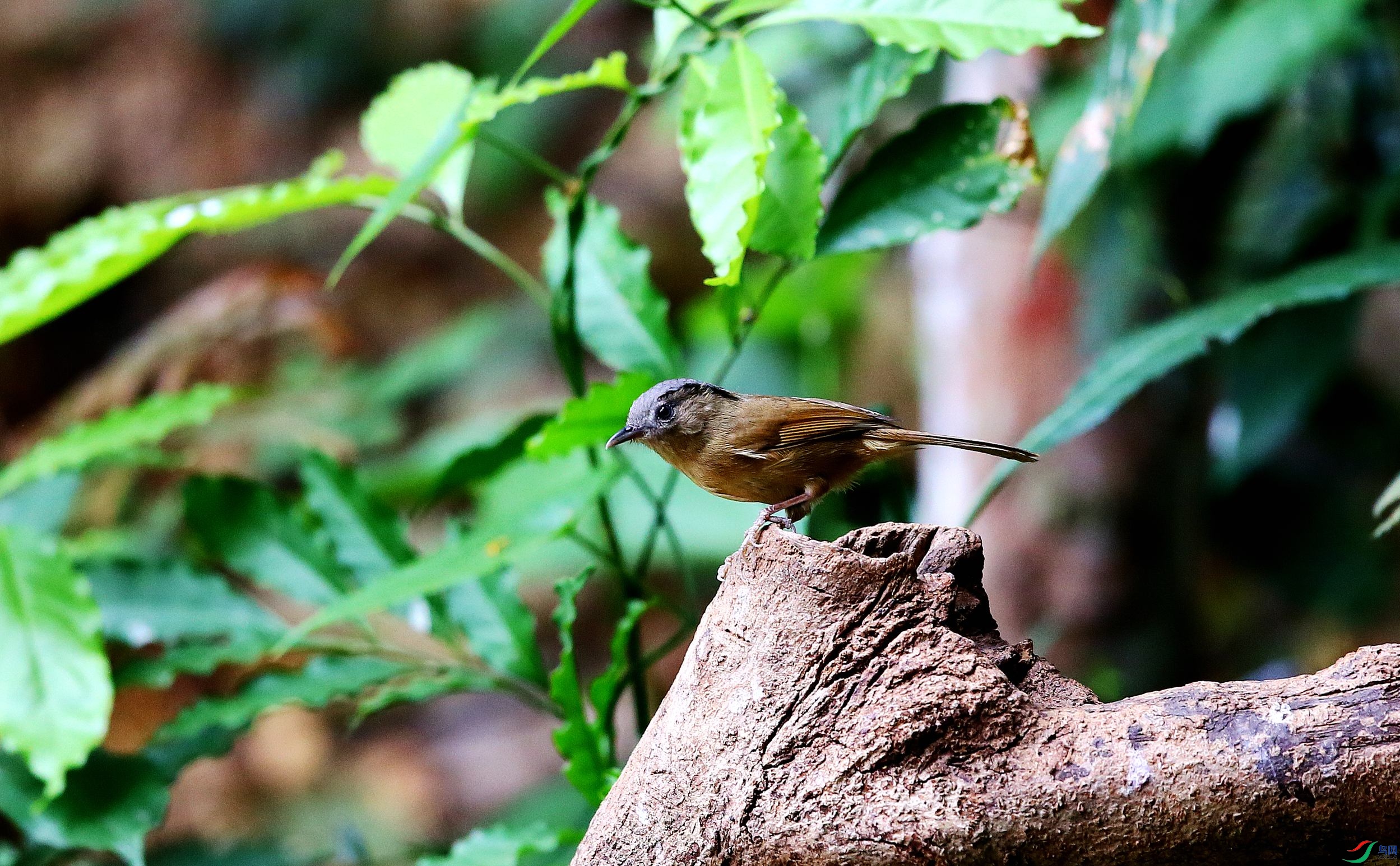 ����ȸ�� (26).JPG