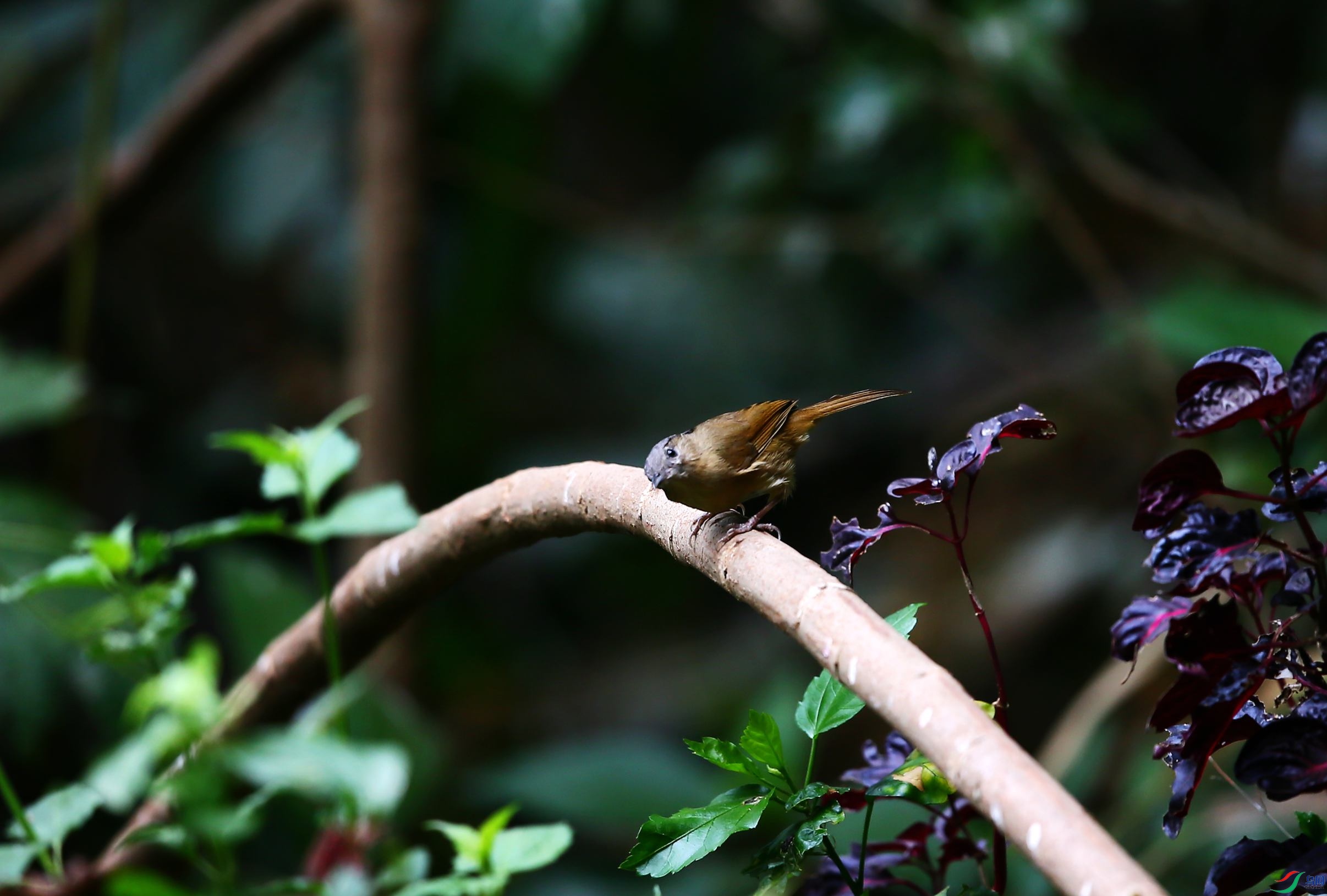 ����ȸ�� (29).JPG