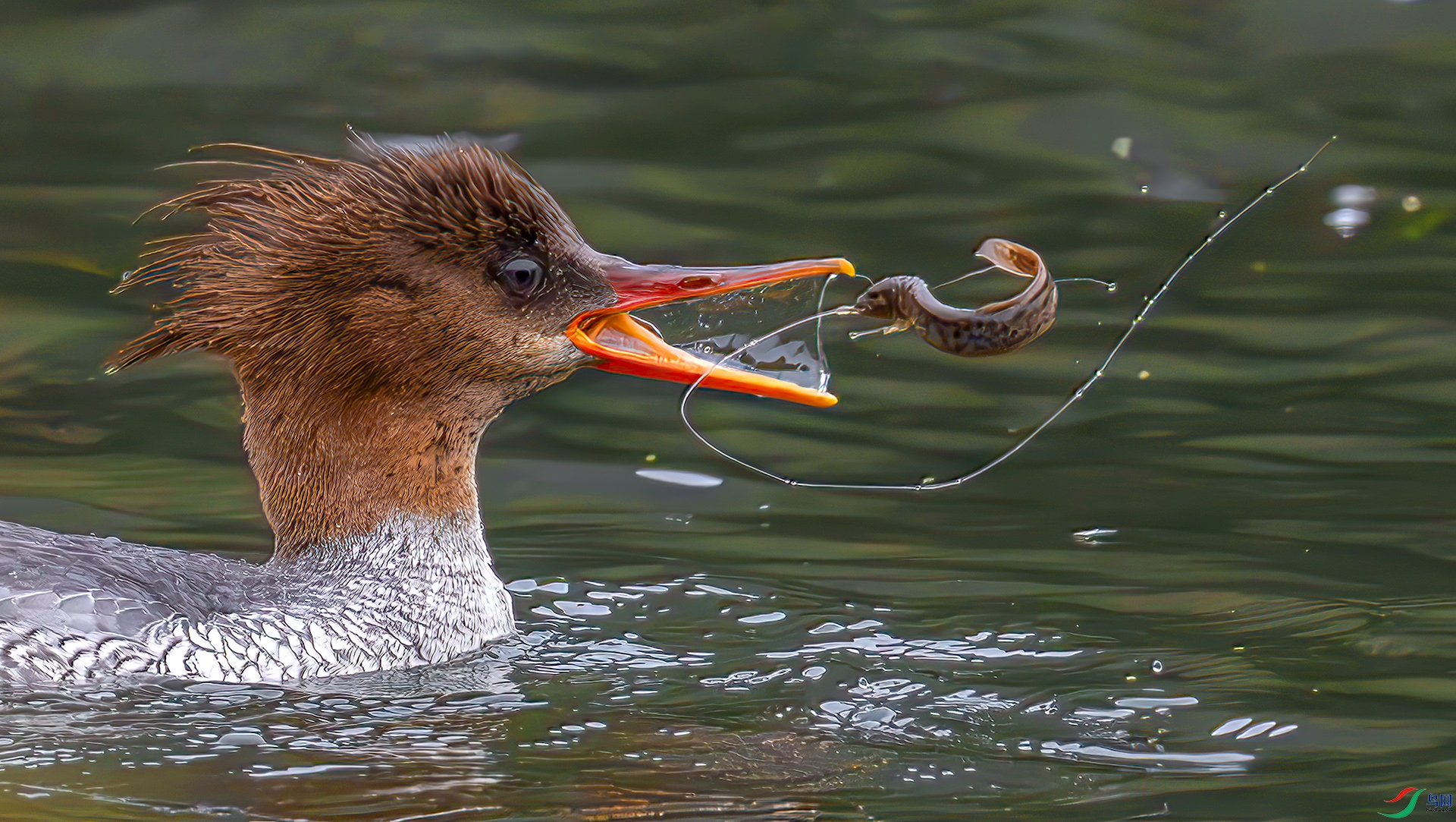 407A6756------33  .jpg