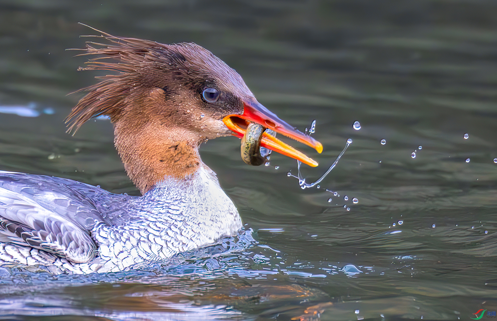 407A7883-----33  .jpg