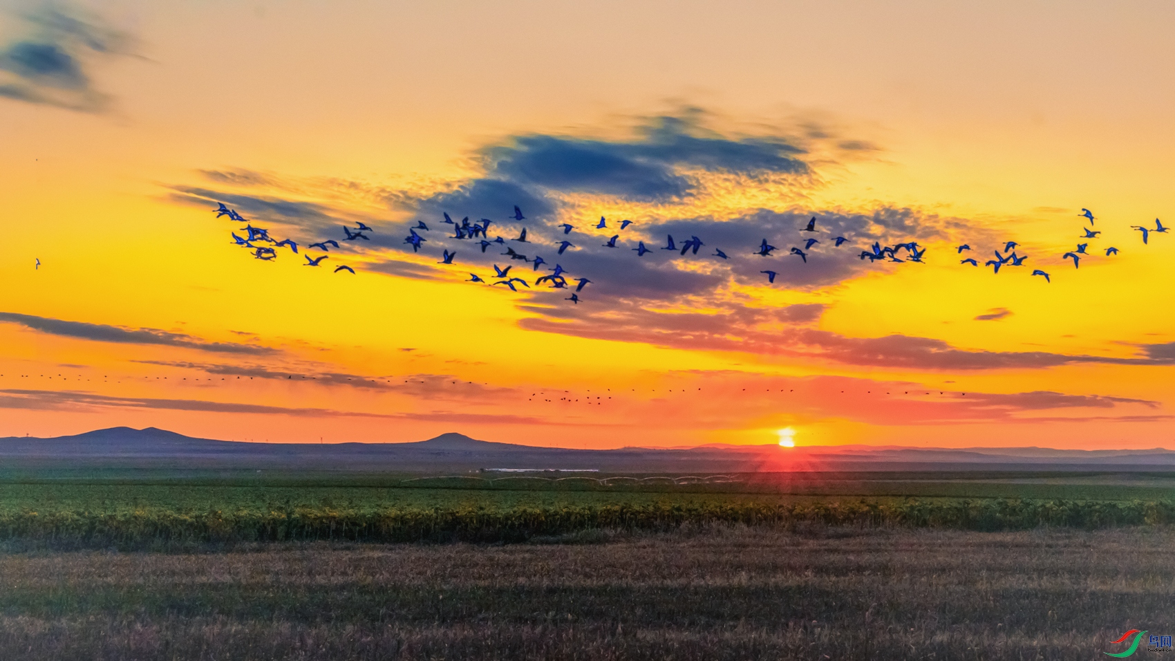 �����----����Ū����