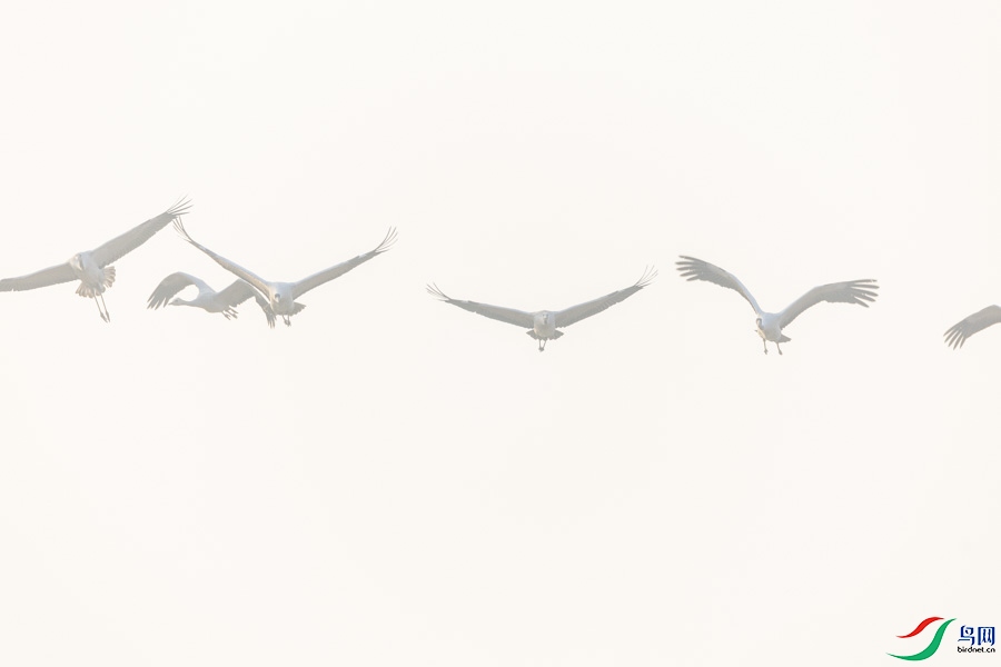 A_156.jpg