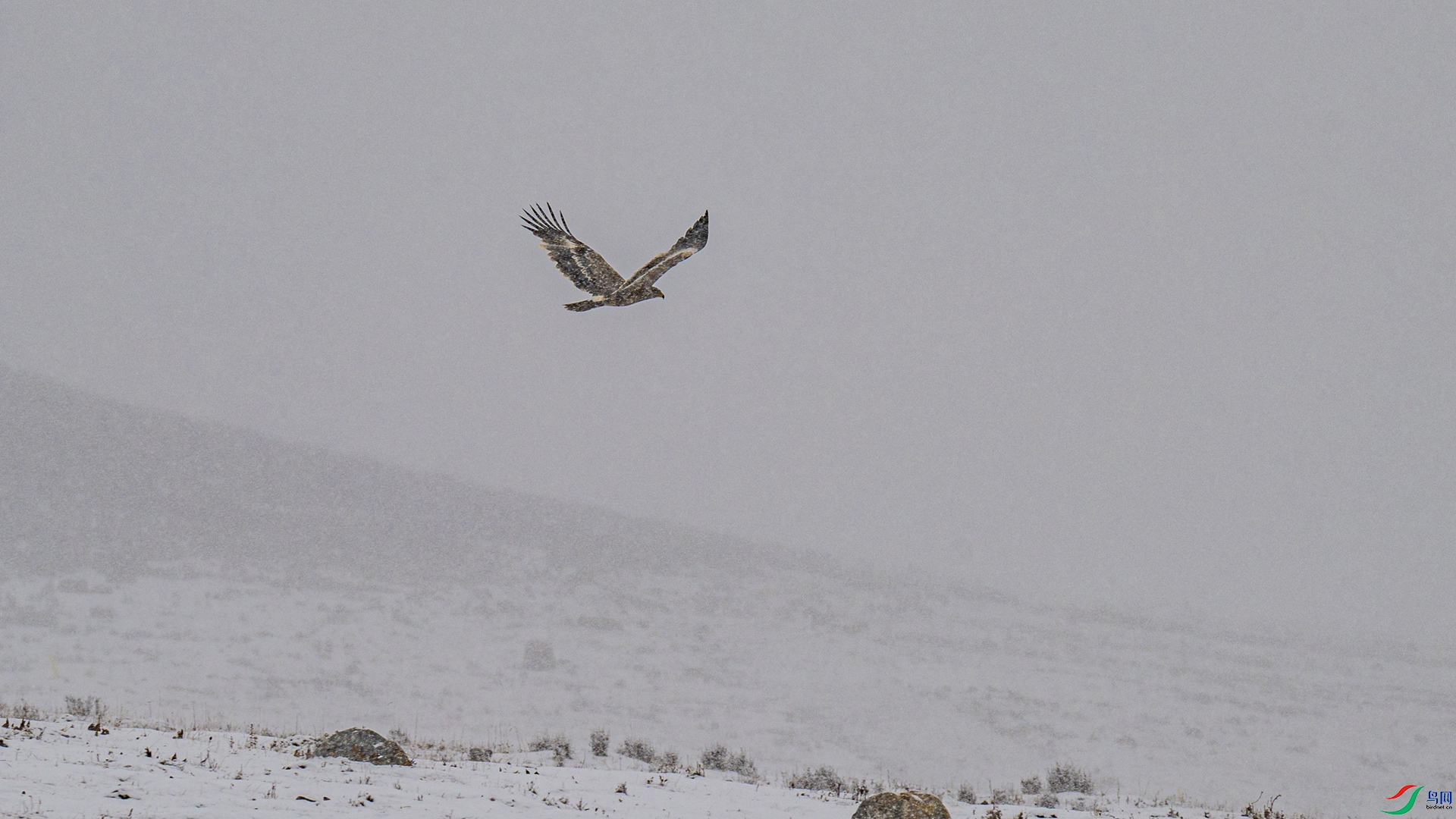 _DSC0164 ���� 2_����.jpg