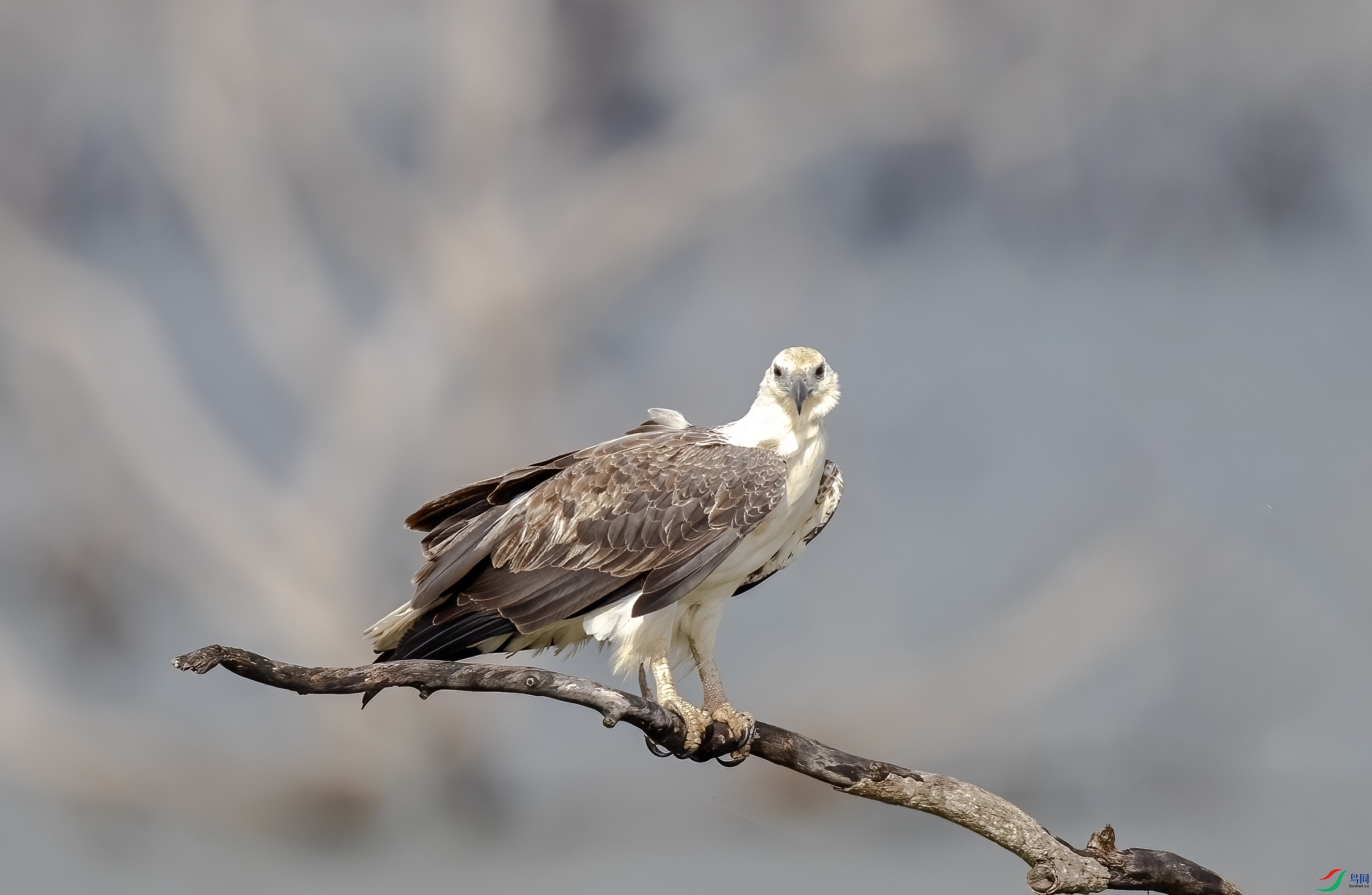 AC3I3920 ����.jpg