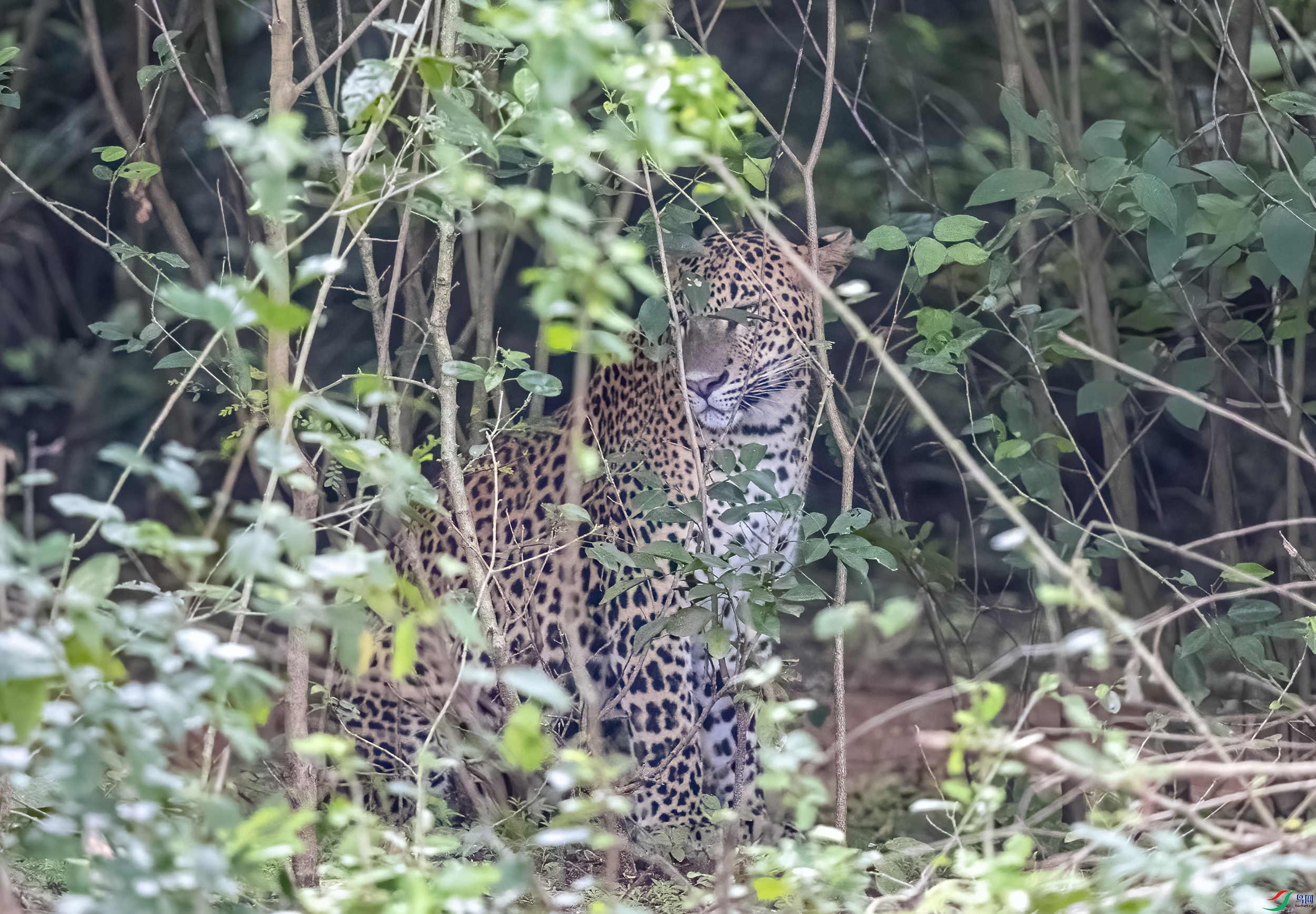 AC3I3926 ����.jpg