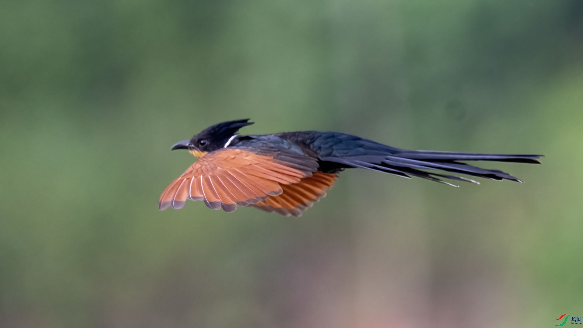 _DSC0037 ����.jpg