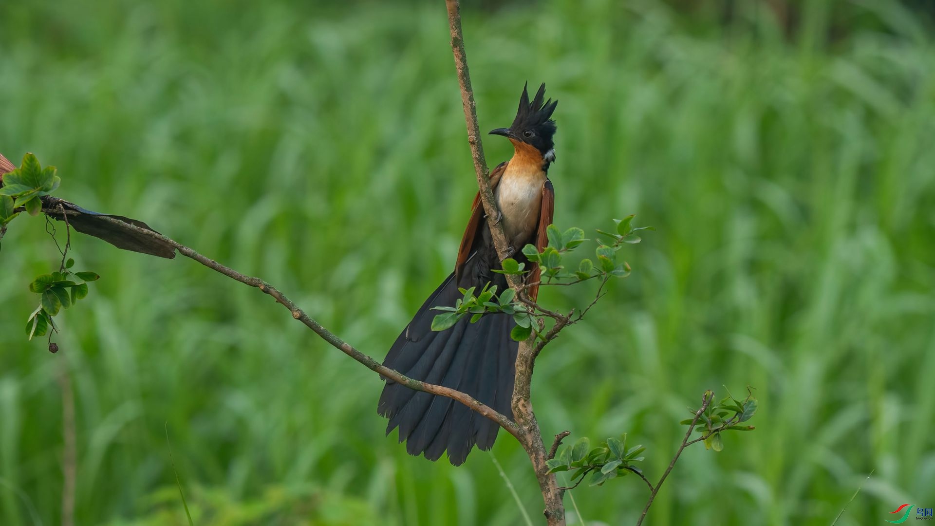 DSC06951 ����.jpg