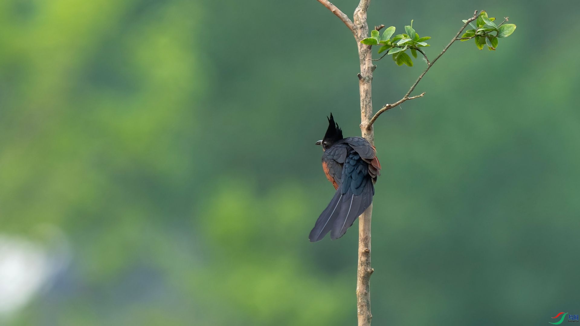 DSC07163 ����.jpg