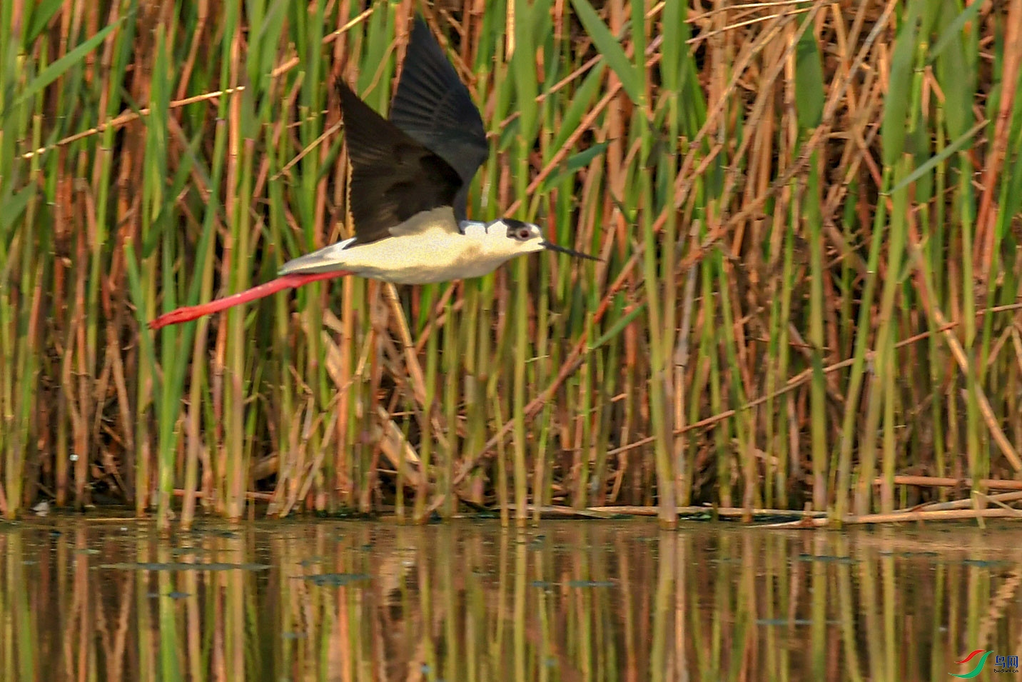 DSC_6886_2.jpg