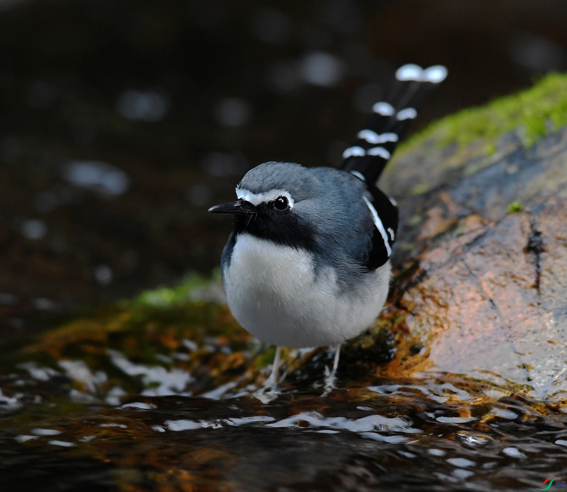 DSC_2839.jpg