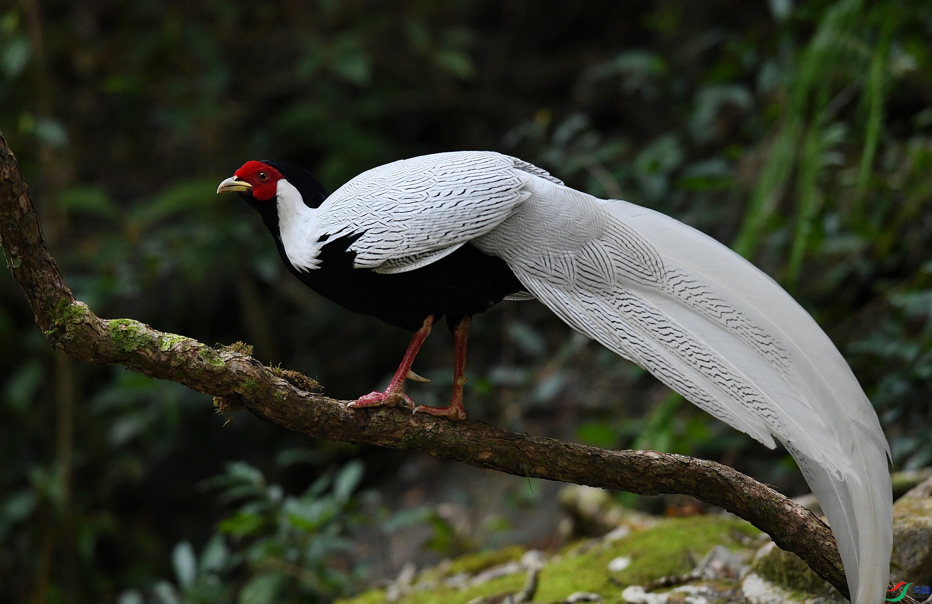 DSC_3501.jpg